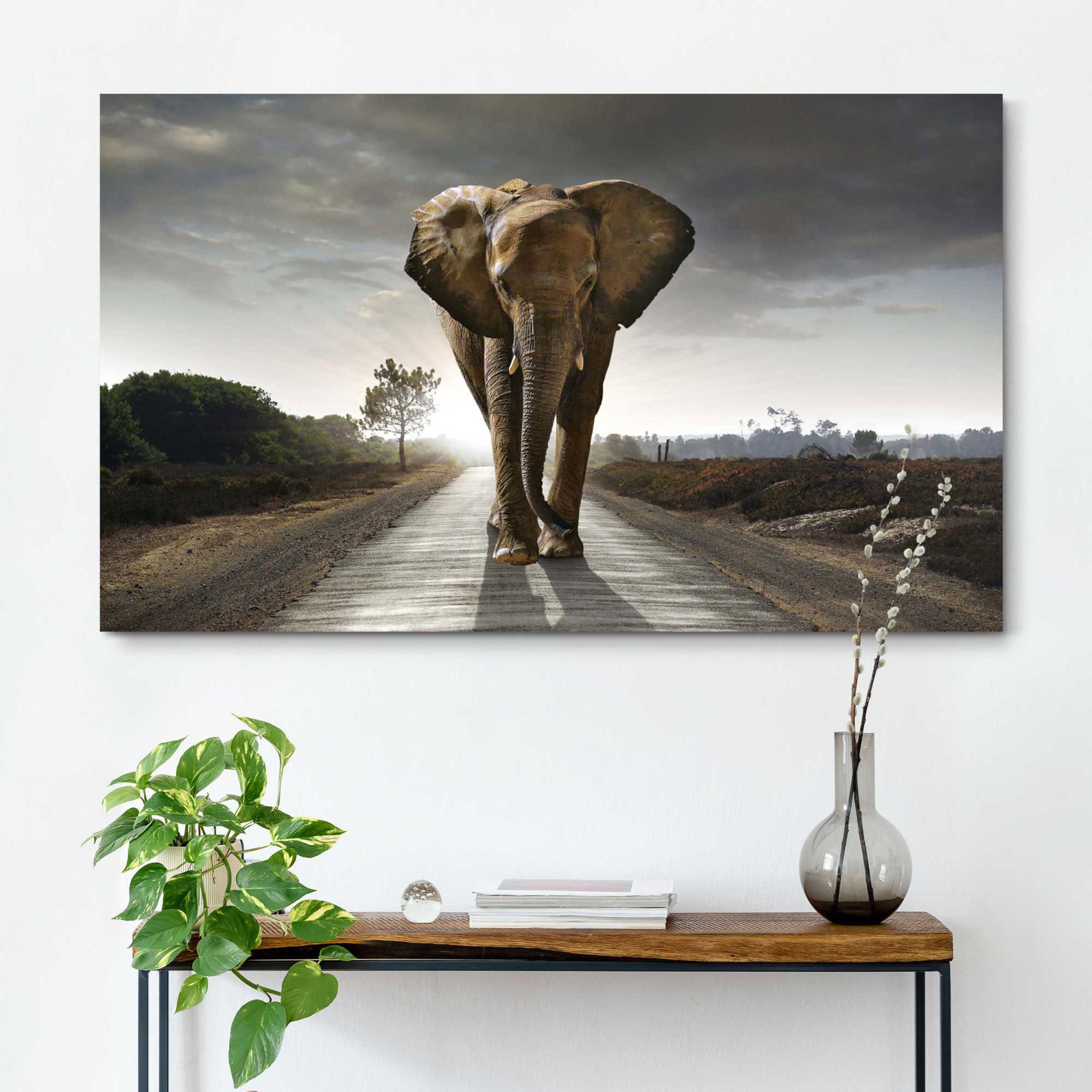 Reinders Wandbild "Elefant König"