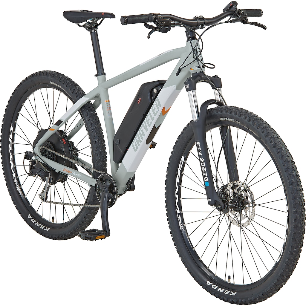 Prophete E-Bike »Graveler 22.EMM.20«, 9 Gang, Shimano, Alivio, Heckmotor 250 W