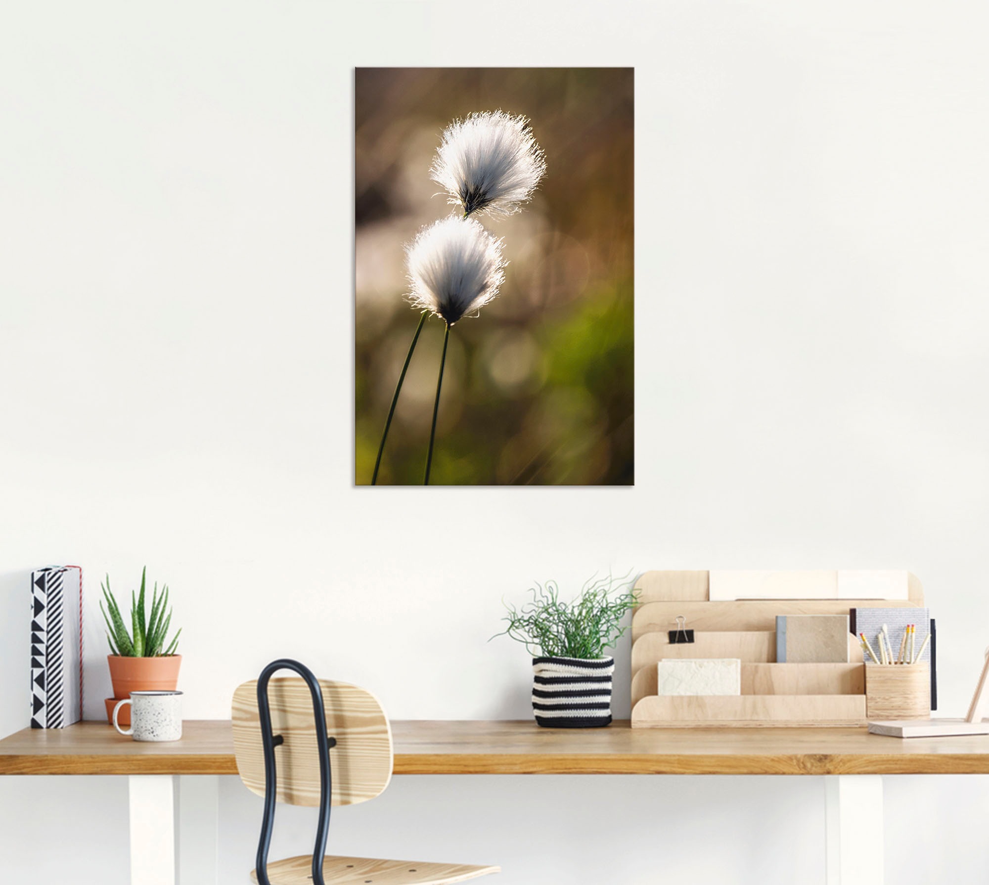 Artland Wandbild »Wollgras I«, Gräser, (1 St.), als Alubild, Outdoorbild, Leinwandbild, Poster in verschied. Größen
