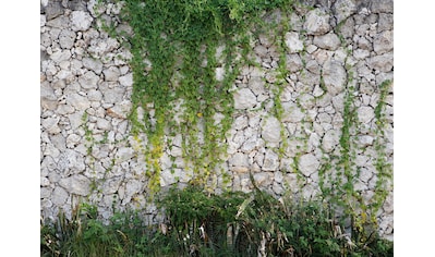 Fototapete »Designwalls Stone Wall«