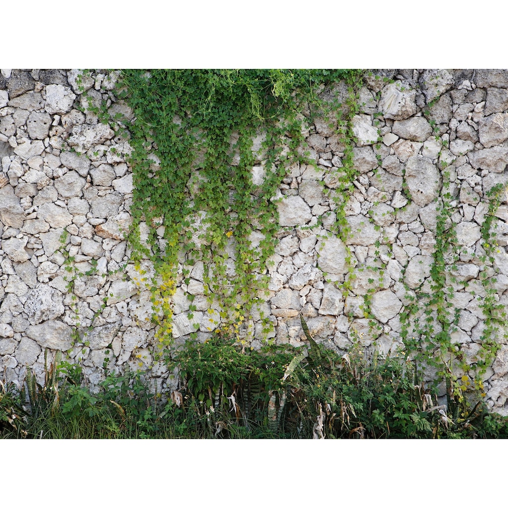 living walls Fototapete »Designwalls Stone Wall«
