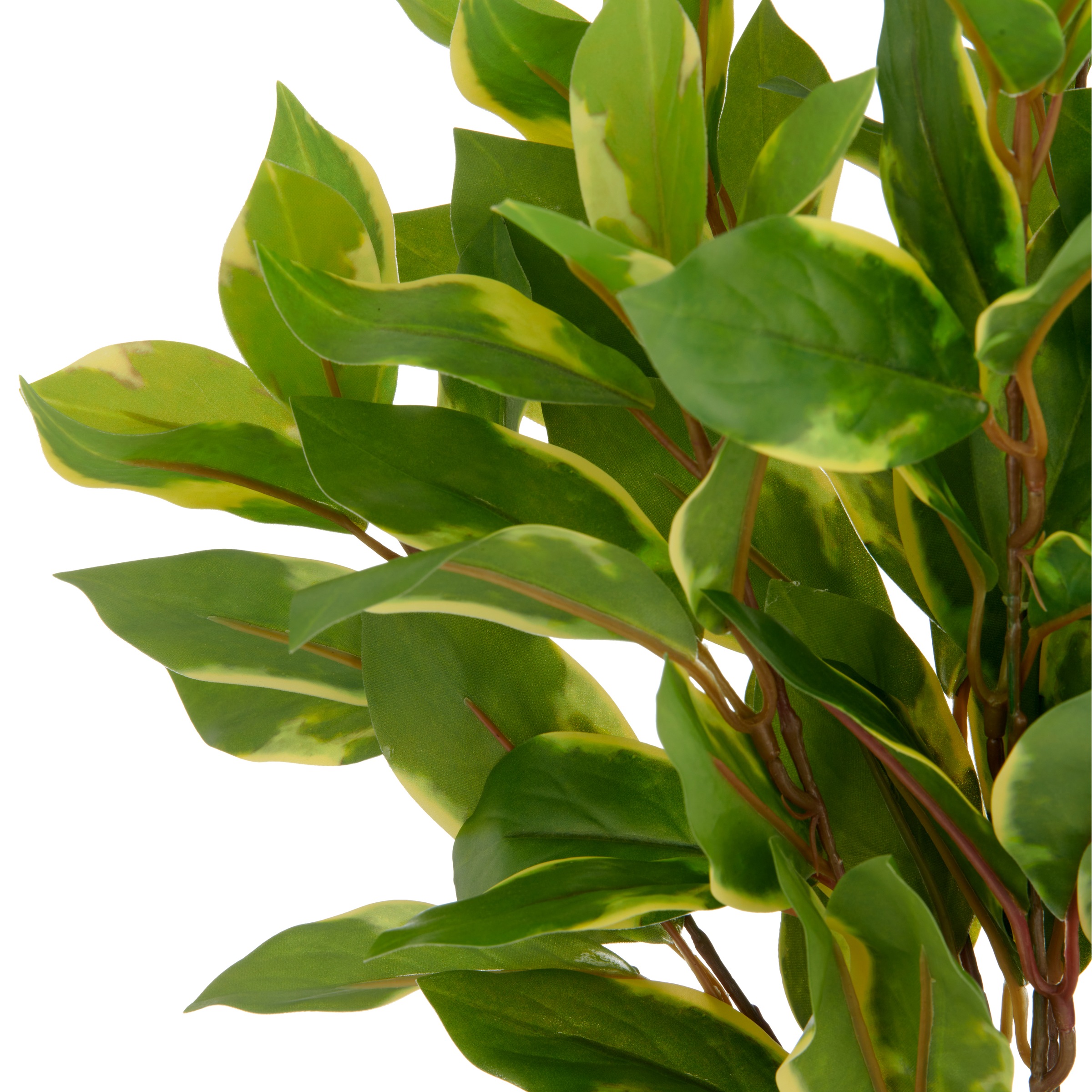Creativ green Kunstpflanze »Epipremnum aureum«, mit schönem Blattwerk