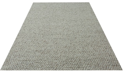 Home affaire Teppich »Titan«, rechteckig, 25 mm Höhe, Wohnzimmer kaufen