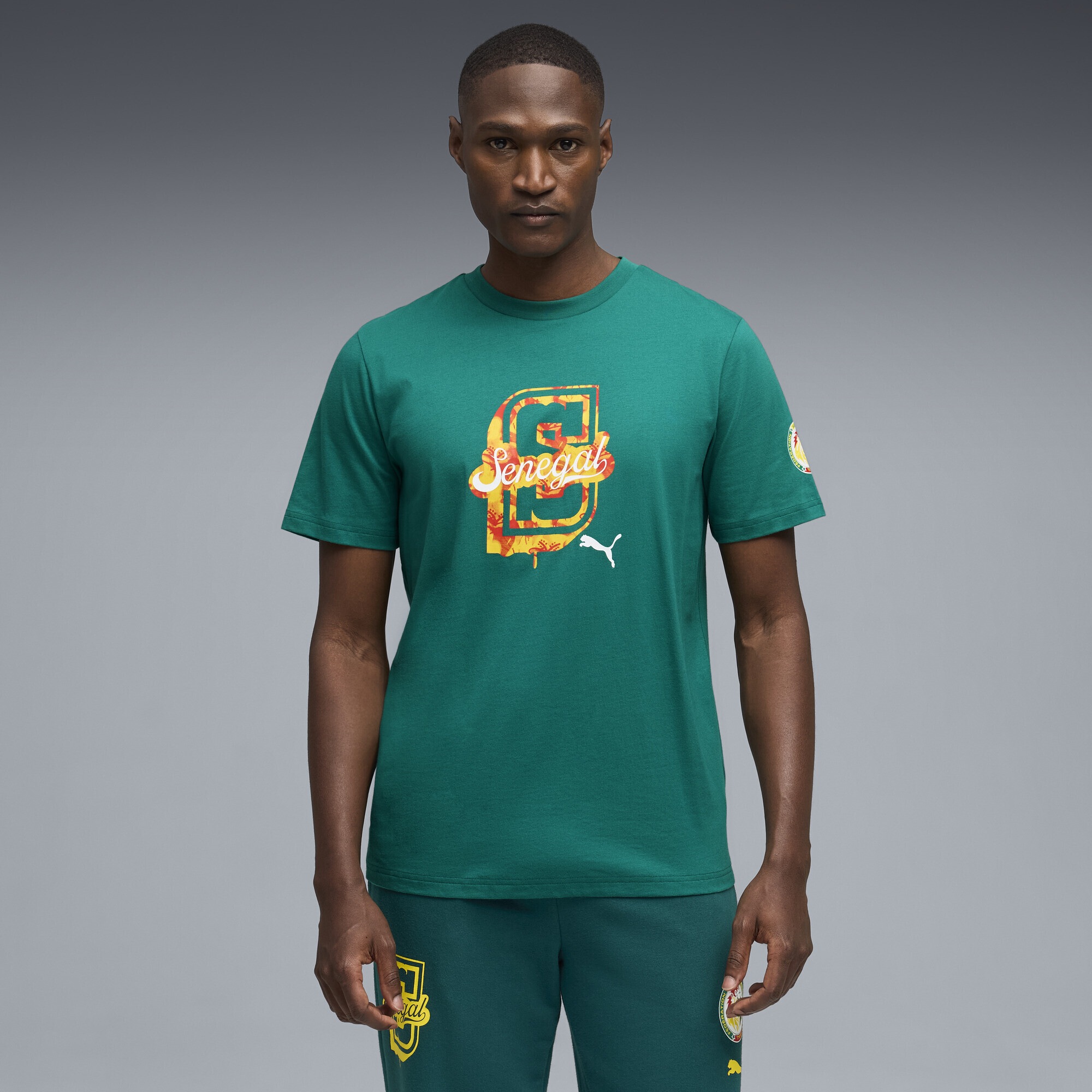 PUMA T-Shirt »Senegal ftblCulture T-Shirt Herren«