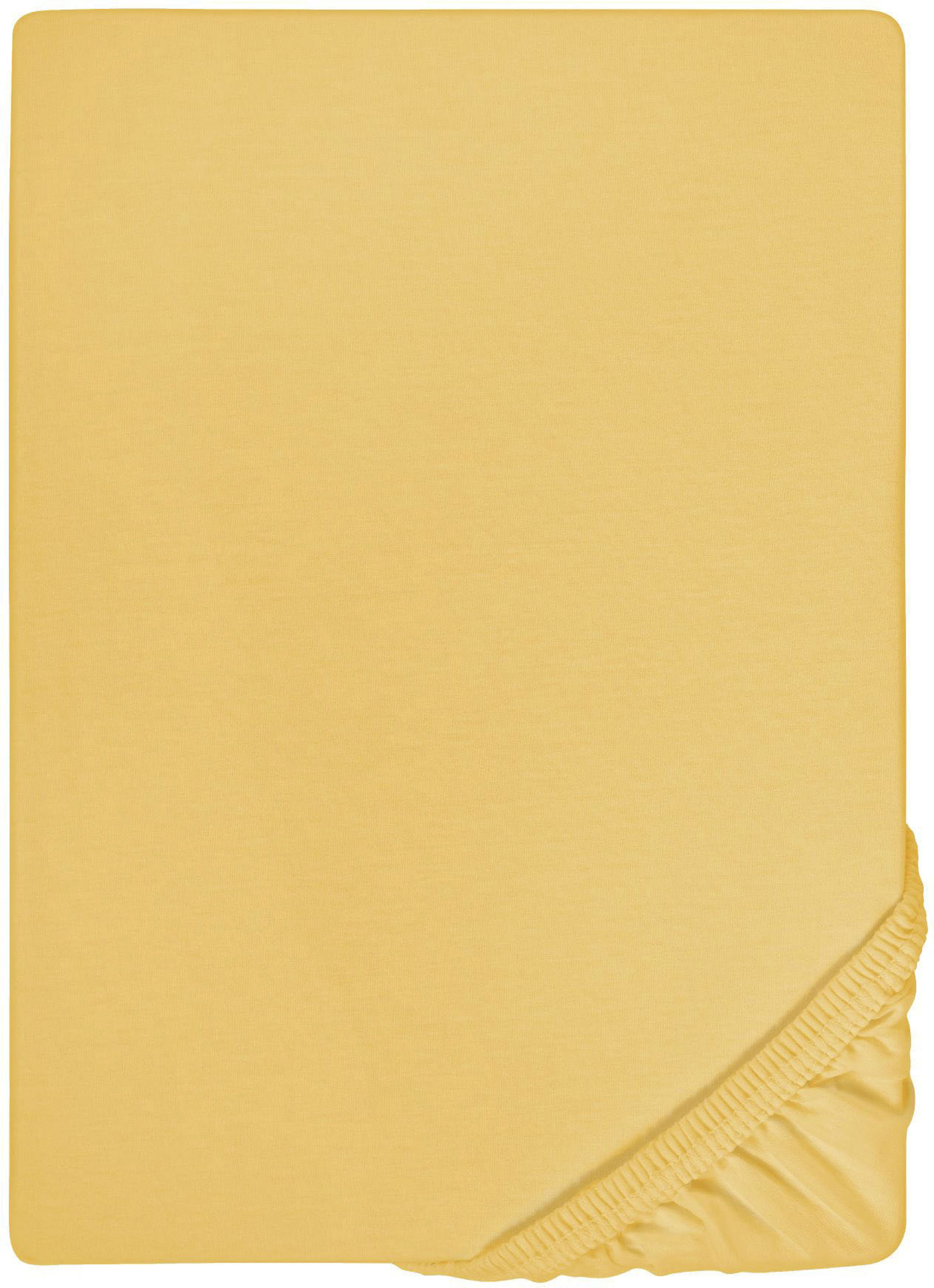 Biberna Spannbettlaken "0077866 Deluxe Jersey-Elastic Spannbetttuch 97% Baumwolle" Jersey mit Elasthan, Rundumgummi, bügelfrei, ab Größe 90 x 190 cm i