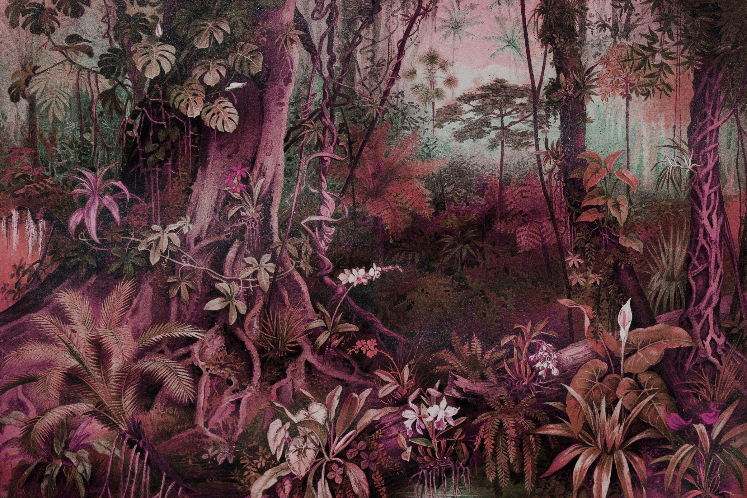 A.S. Création Leinwandbild »jungle«, Kunst-Gemälde-Kinder, (1 St.), Keilrahmen Bild Dschungel Wald Leinwand-Bild Wohnzimmer modern Kinder