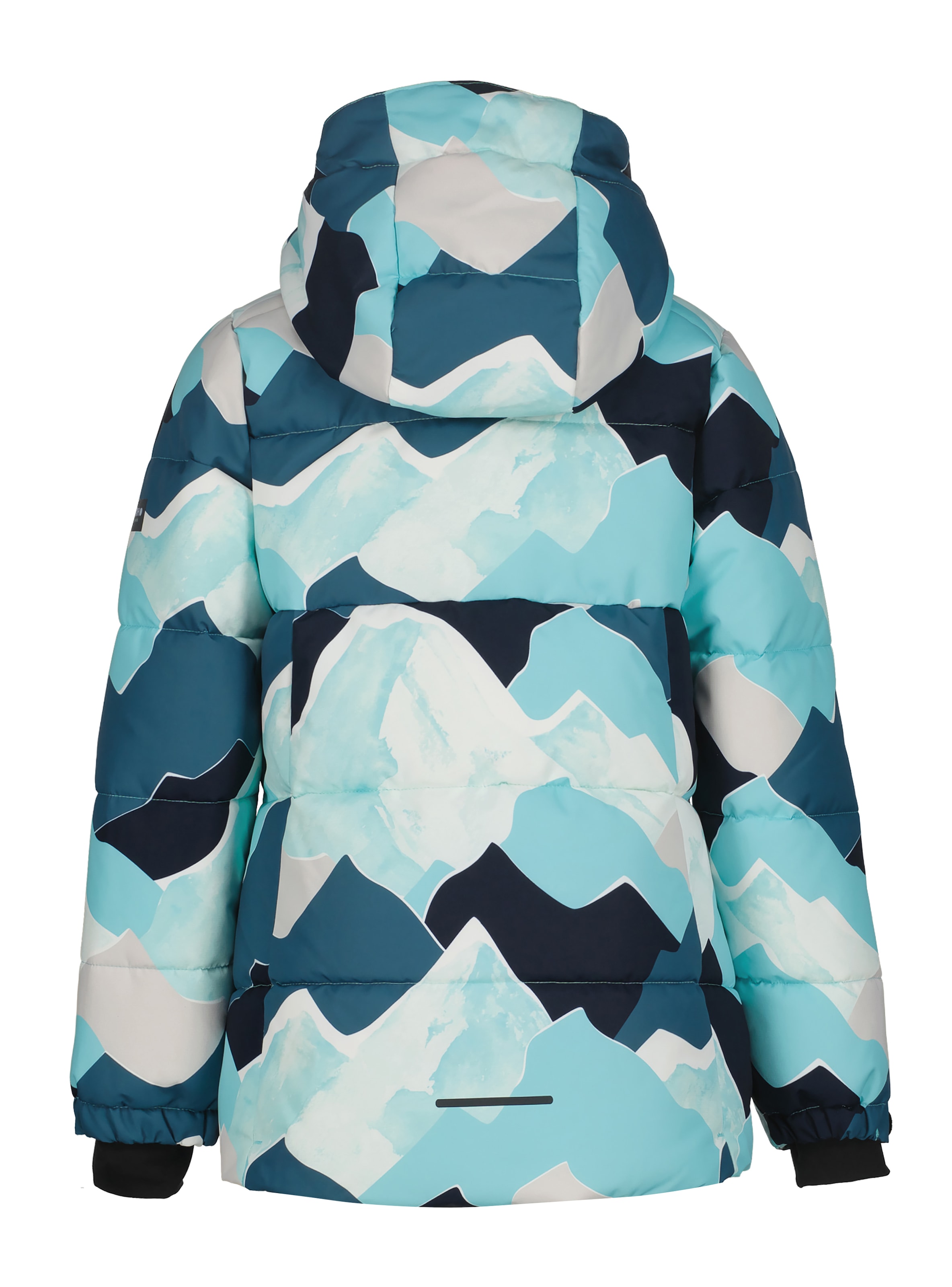 Icepeak Skijacke »ICEPEAK LADUE JR« 1 Stk. tlg. für Kinder und Jugendliche, wasserabweisend, atmungsaktiv