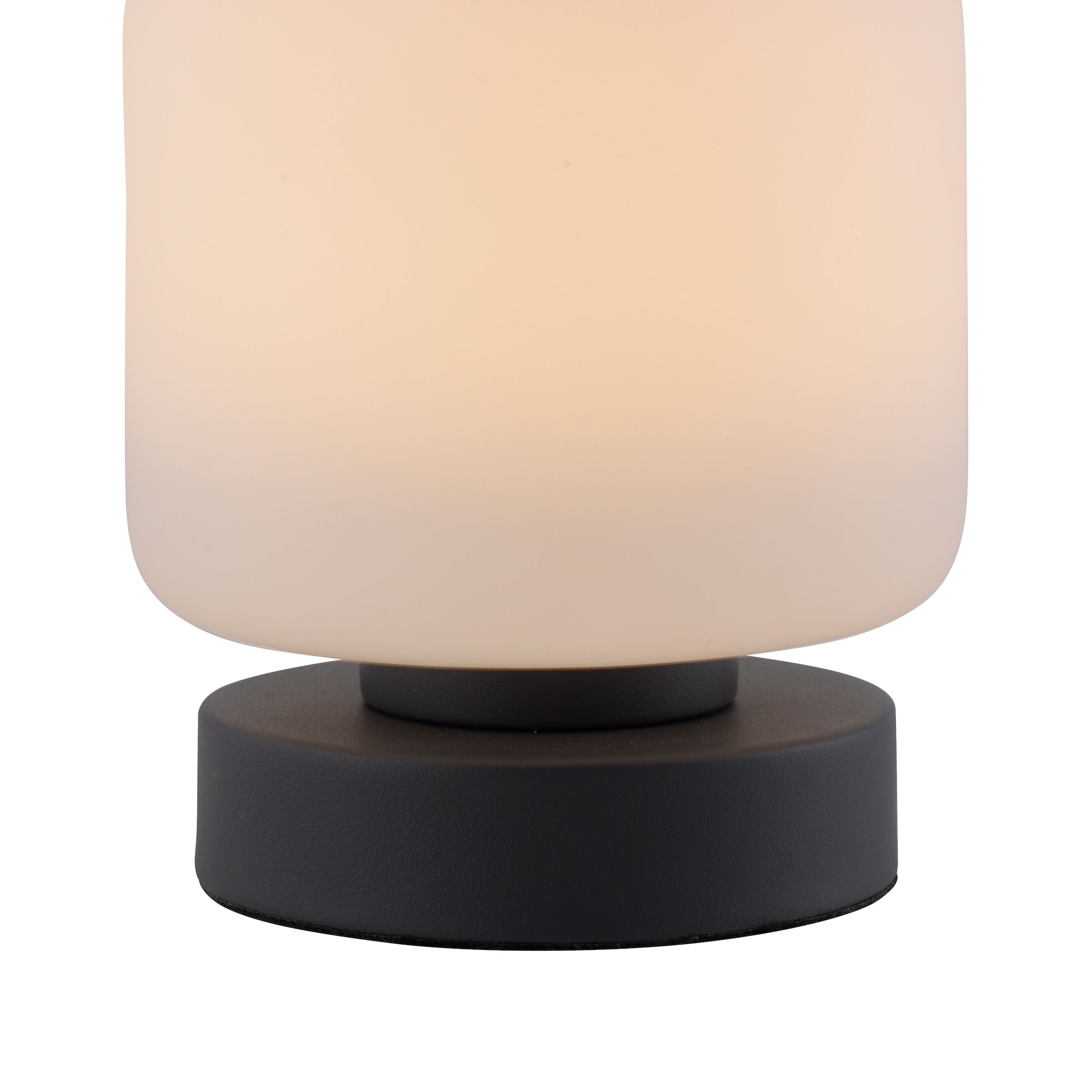 Paul Neuhaus Tischleuchte »BOTA«, 1 flammig-flammig, LED, dimmbar über  Touchdimmer | günstig kaufen