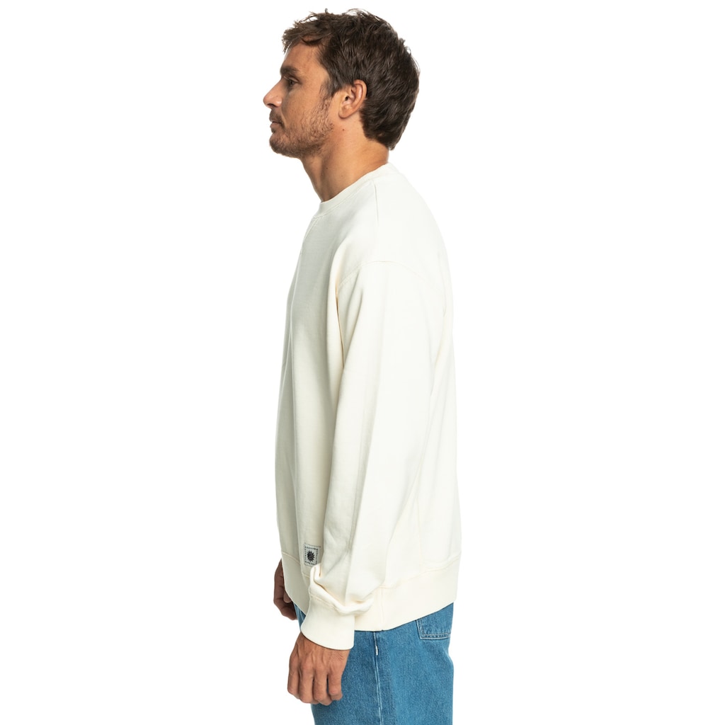 Quiksilver Sweatshirt »Trip Away«