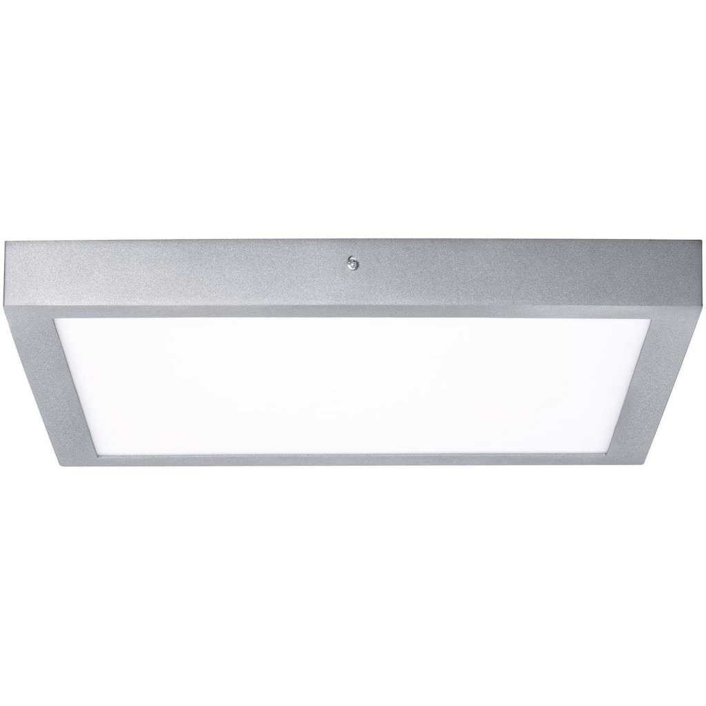 Paulmann LED Deckenleuchte »Carpo«, 1 flammig-flammig, LED-Modul, LED Deckenlampe