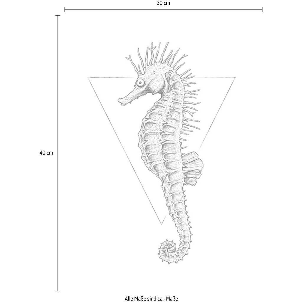 Komar Poster »Sea Horse White«, Tiere, (1 St.)