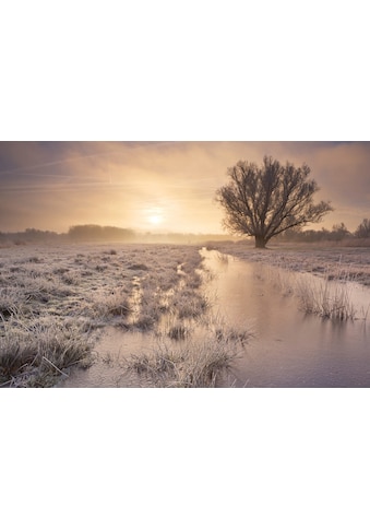 Papermoon Fototapetas »Winterlandschaft«