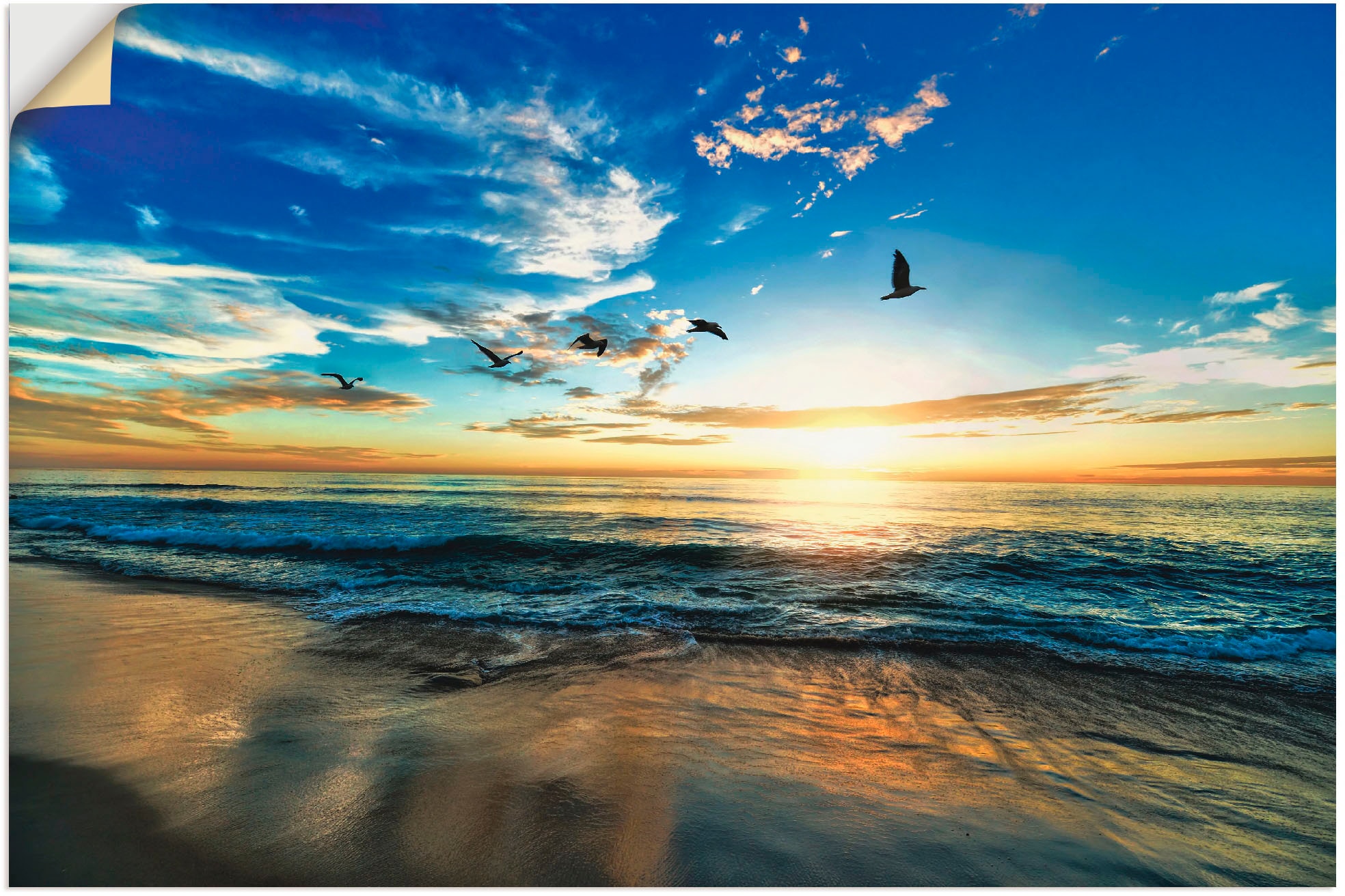 Artland Wandbild »Strand Möwen Sonnenaufgang BAUR in Wandaufkleber Poster Alubild, als & bestellen Größen oder versch. (1 St.), | Sonnenuntergang«, -untergang, Meer Leinwandbild