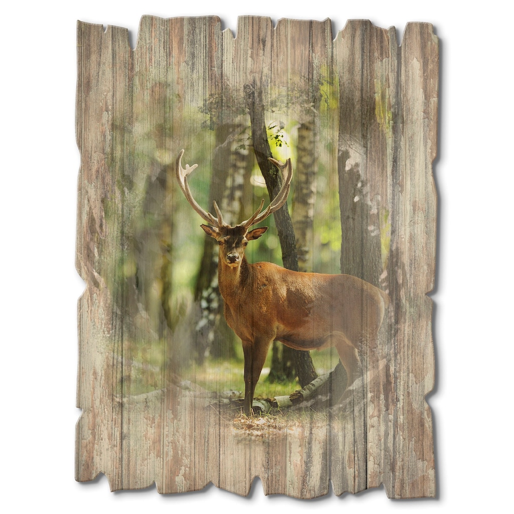 Artland Holzbild »Hirsch 4 - Wald«, Wildtiere, (1 St.)