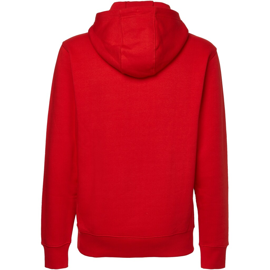 Tommy Jeans Kapuzensweatshirt »TJM LINEAR LOGO HOODIE«