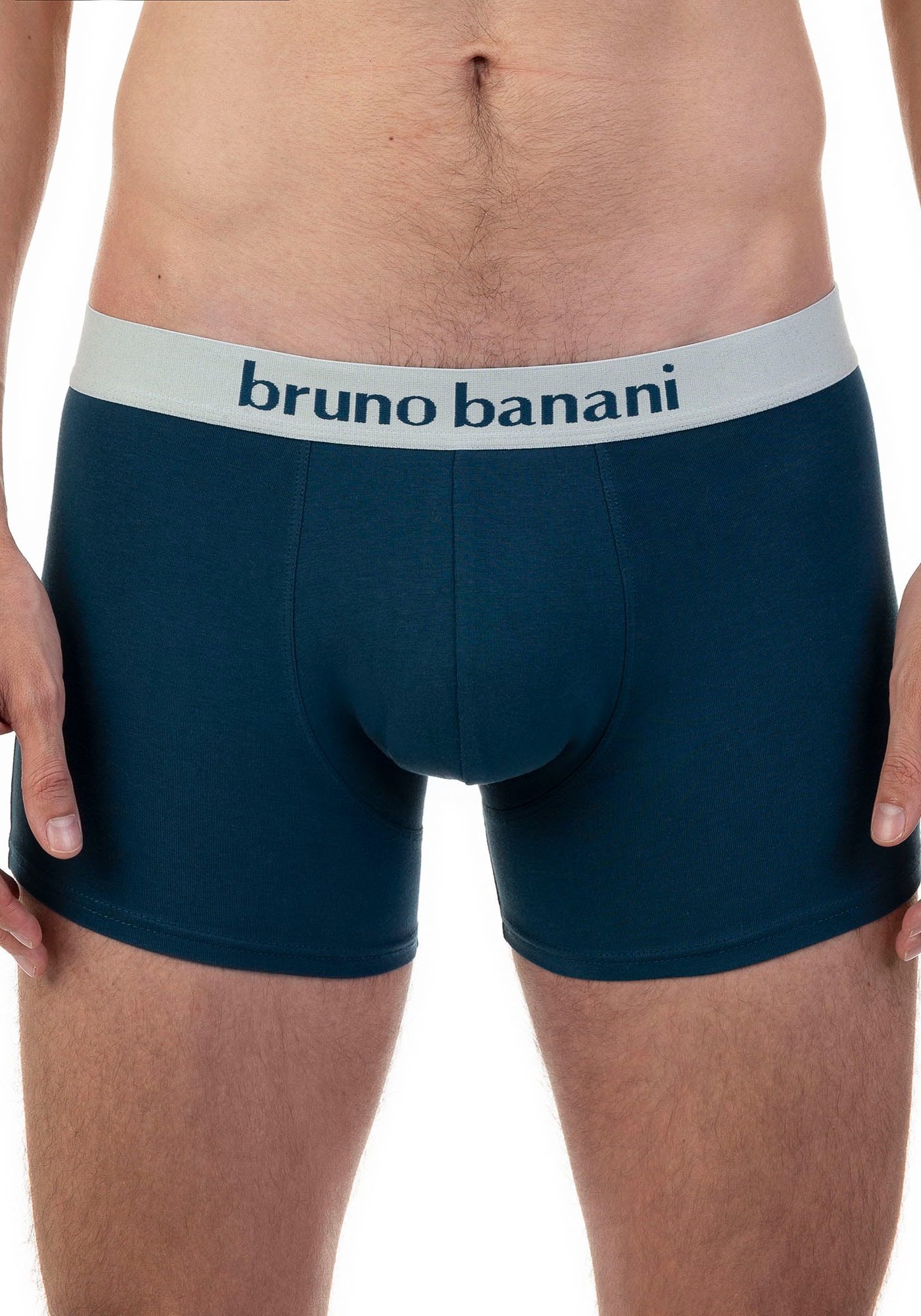Bruno Banani Retro Pants »Calathea«, (2er-Pack), mit Logobund