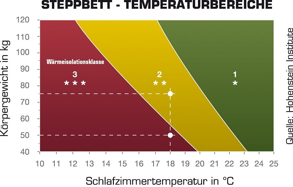 Haeussling Daunenbettdecke »Königstraum - First Class«, extrawarm, Füllung 90% Daunen, 10% Federn, Bezug 100% Baumwolle, (1 St.), Hohenstein geprüft