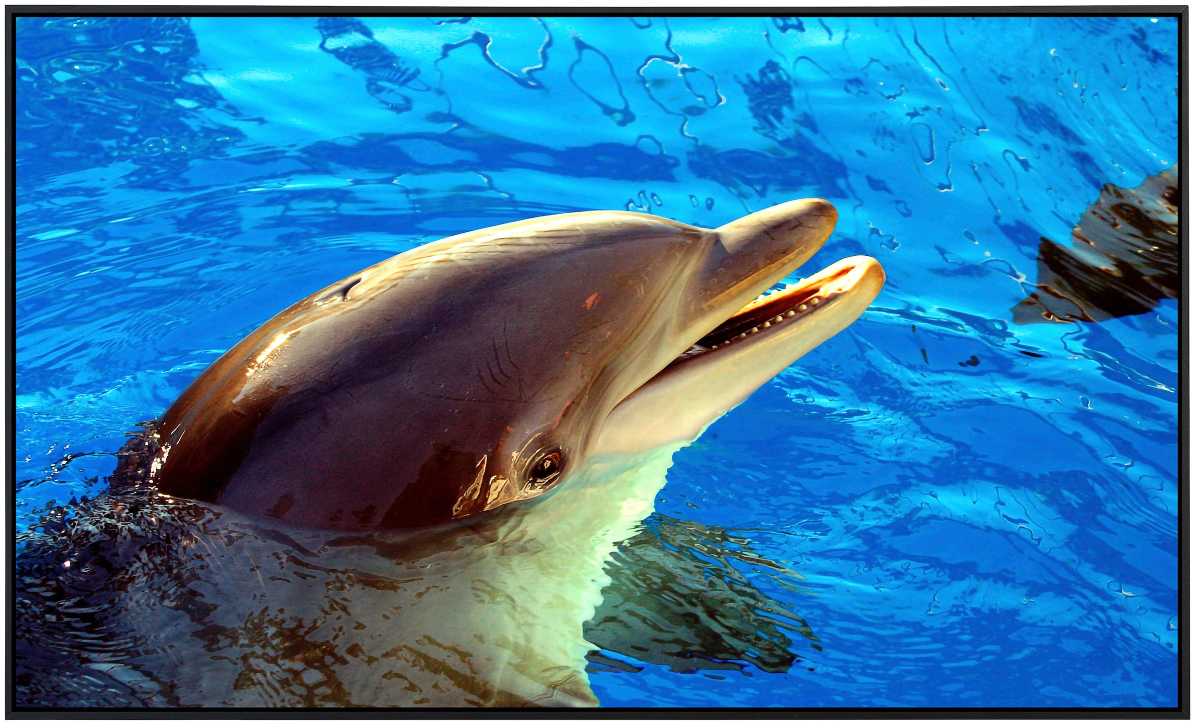 Papermoon Infrarotheizung »Delfin«, sehr angenehme Strahlungswärme