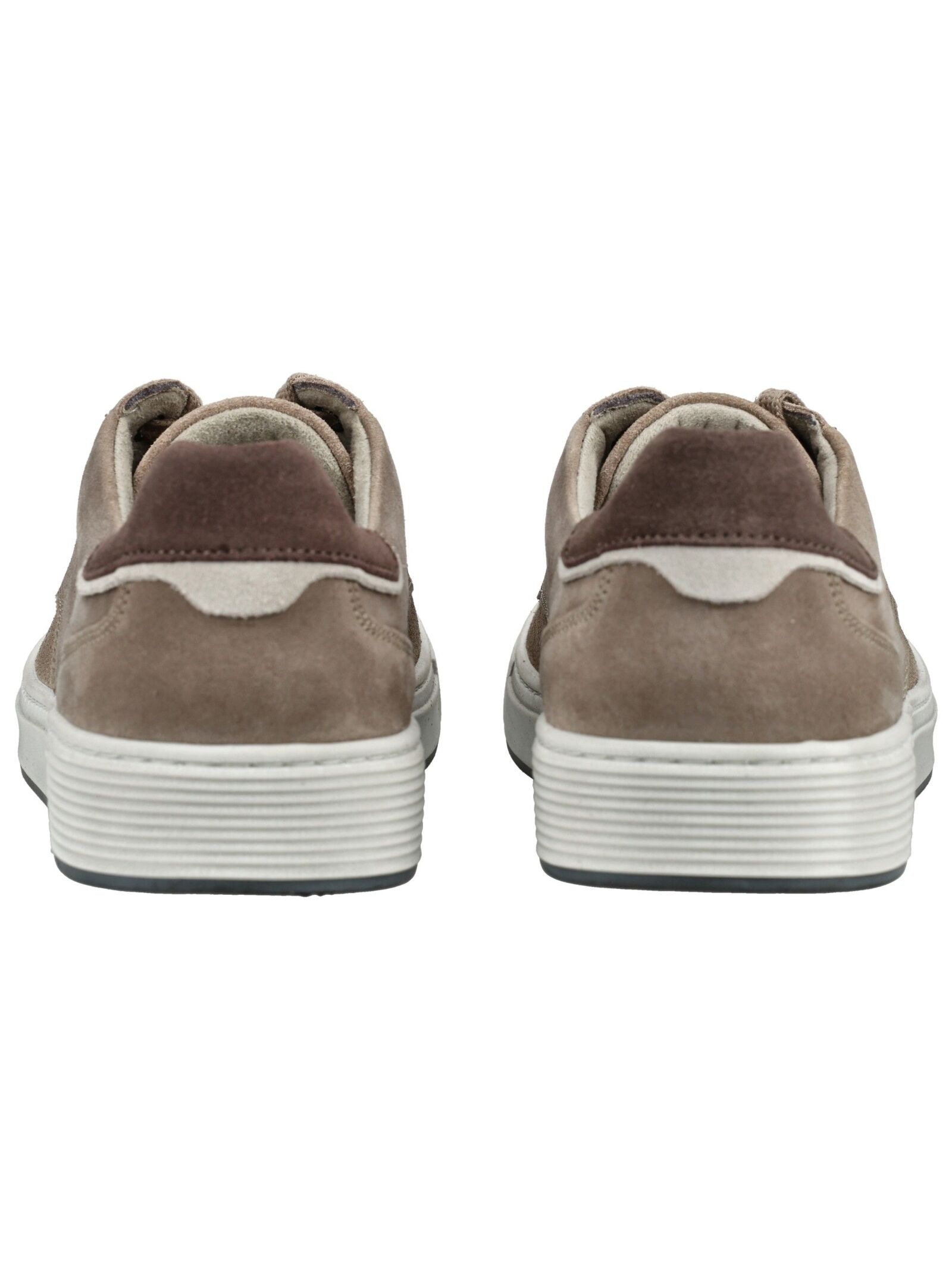 Pius Gabor Sneaker »Pius Gabor Sneaker Veloursleder«