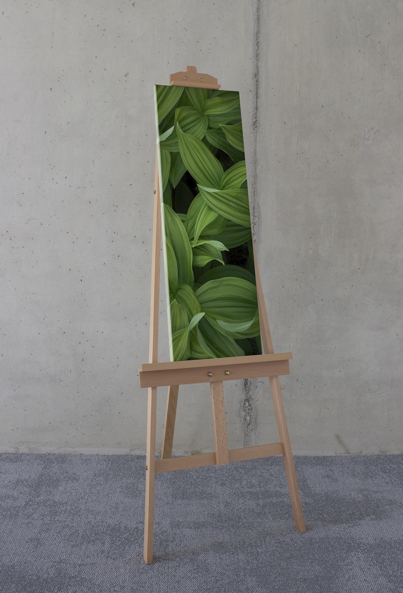Komar Leinwandbild "Ancilla - Größe 30 x 90 cm" Natur 1 Stk. tlg. Keilrahme günstig online kaufen