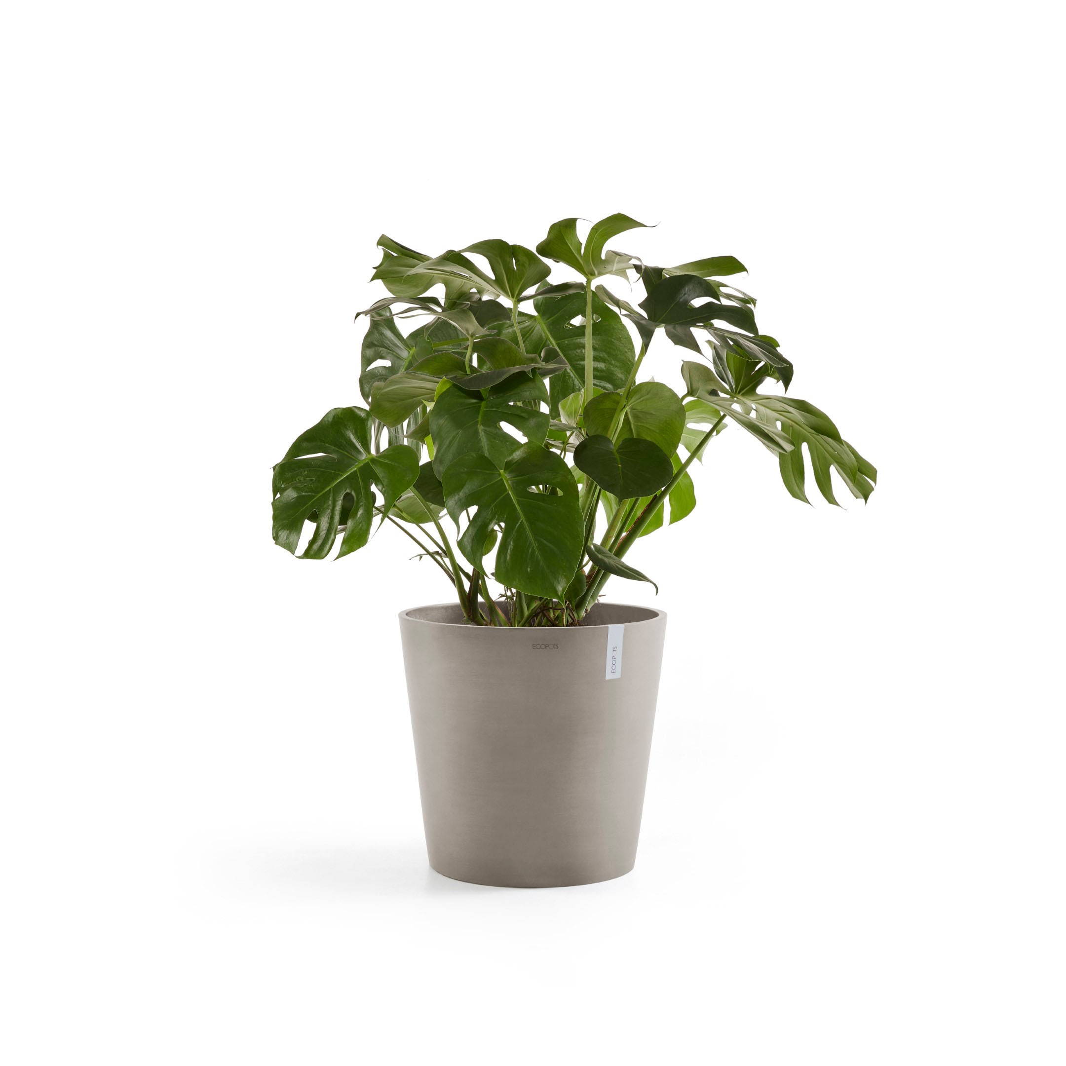 ECOPOTS Blumentopf »Amsterdam«, ØxH: 50x43,8 cm