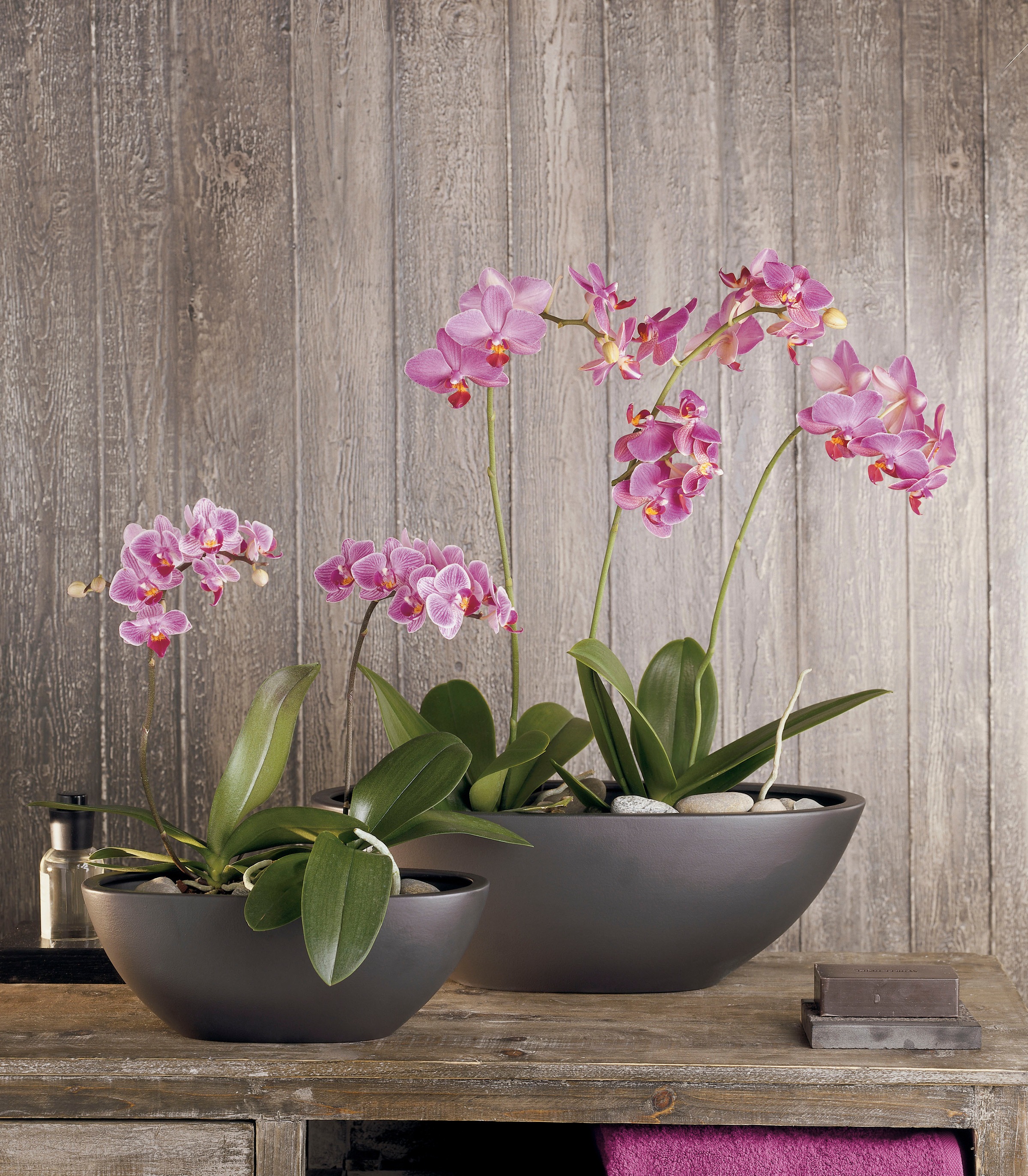 Scheurich Blumentopf »42/430«