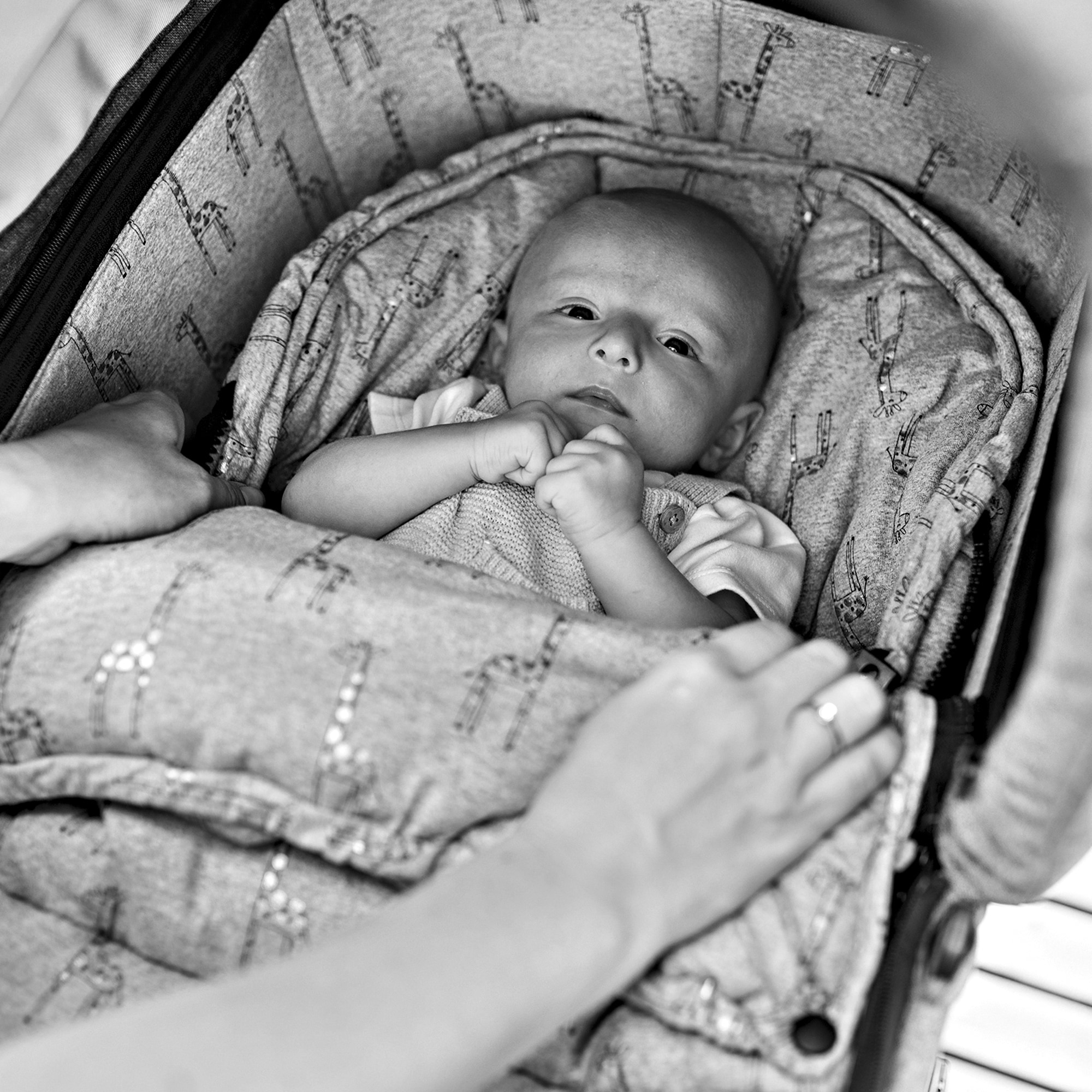 Gesslein Babywanne »Baby Nestchen, Tupfen«, grau Babyschalen Sportwagensitz für per Rechnung BAUR Kinderwagenwannen, Tragetaschen, oder 