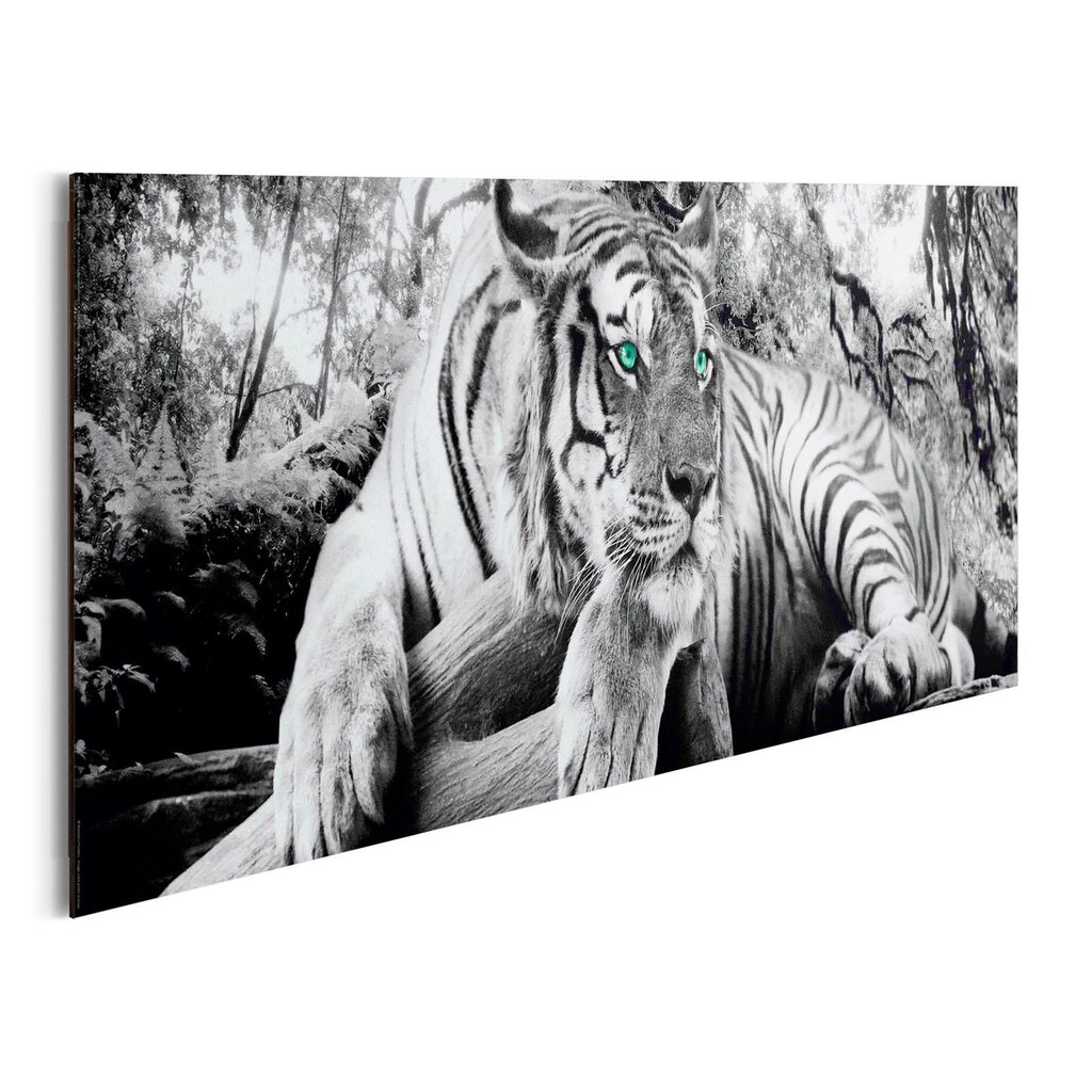 Home affaire Deco-Panel »Tiger guckt dich an«