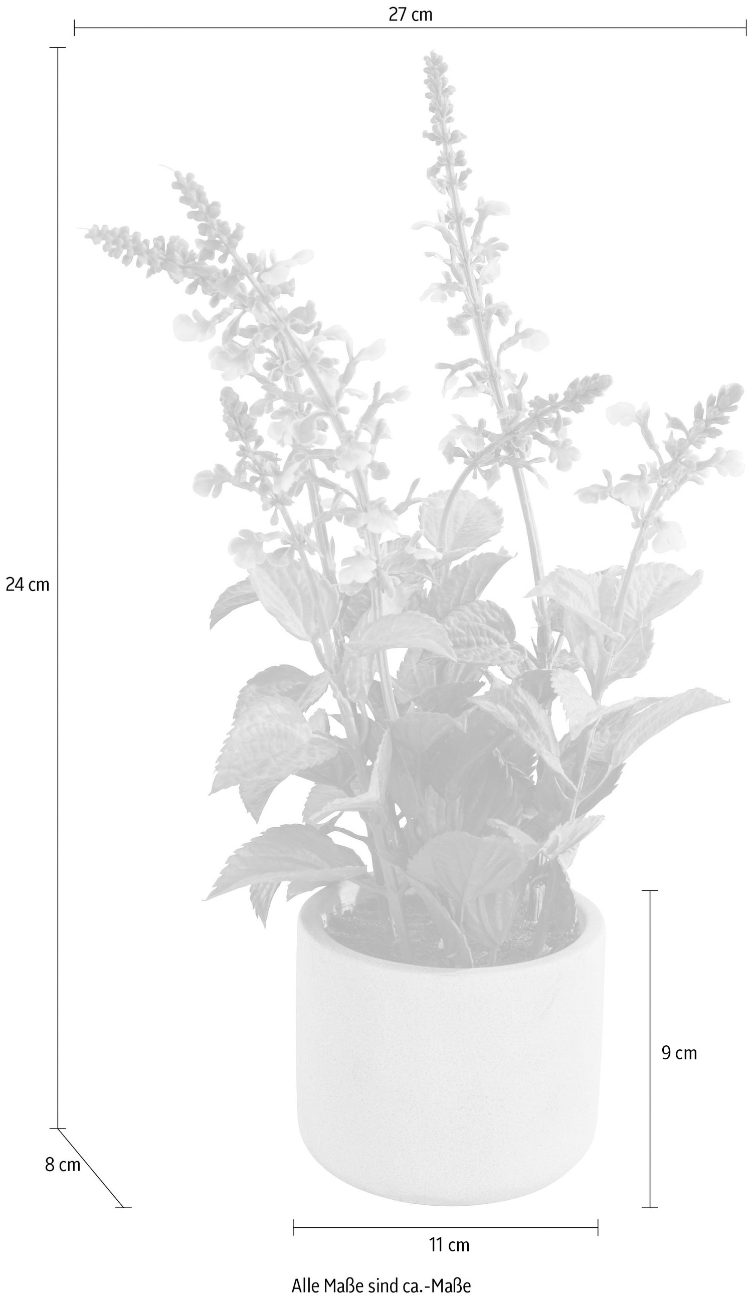 Kunstpflanze aus Home&Living | kaufen Topf BAUR Kretschmer Guido im »Sableti«, Maria Zement
