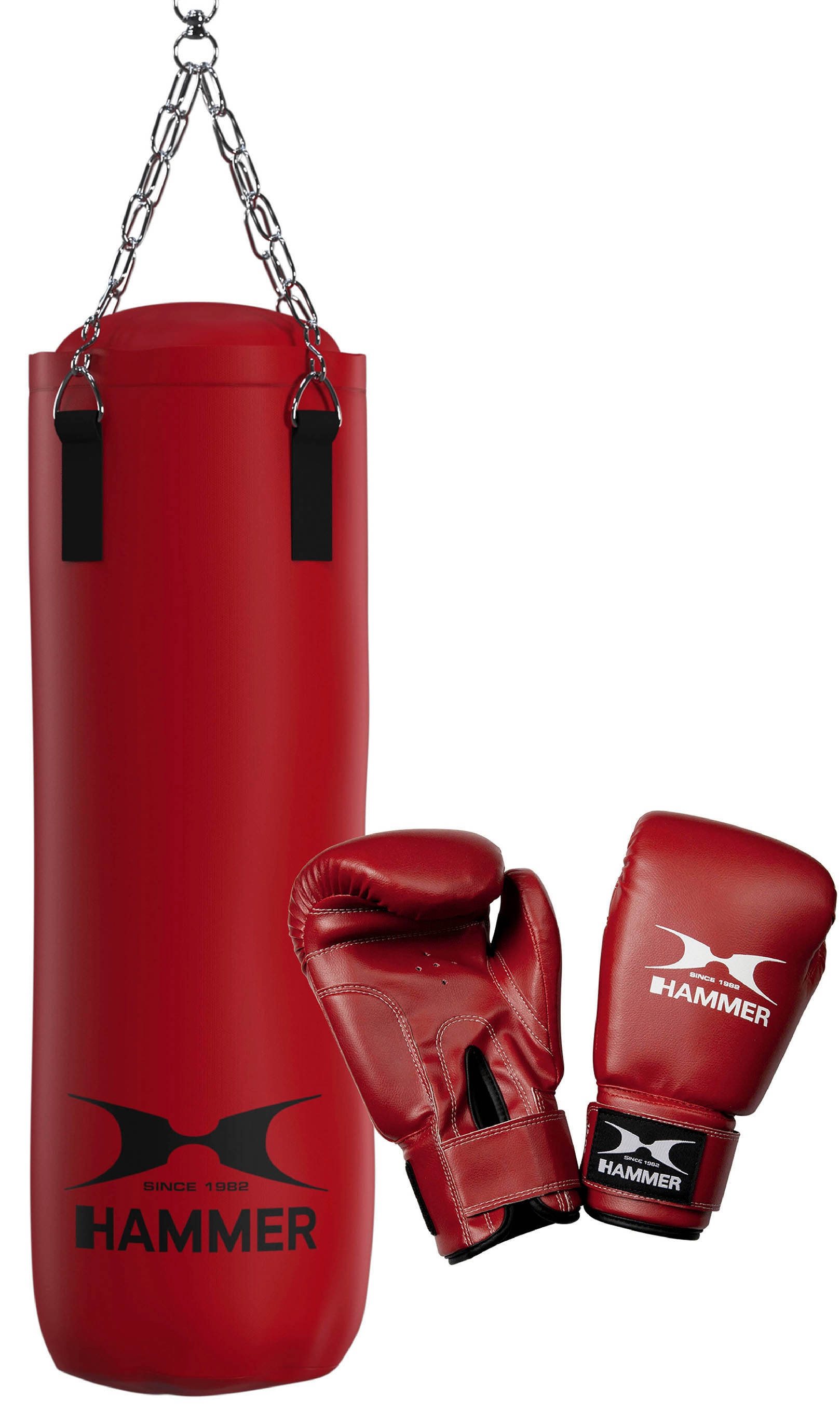 Boxsack »Fit«, (Set, mit Trainings-DVD-mit Boxhandschuhen)