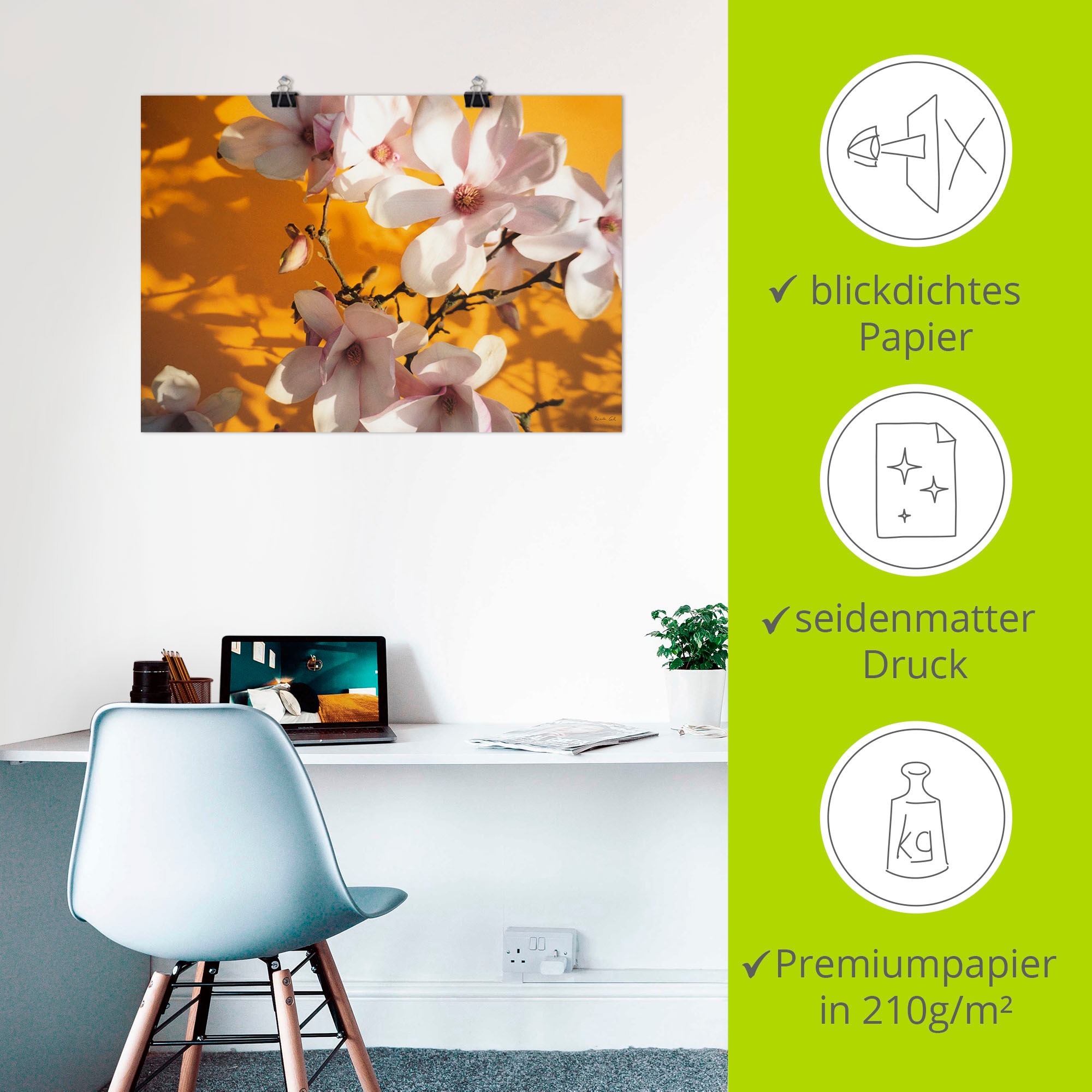 Artland Poster »Fotokollage Magnolie« Blumen 1 Stk. tlg. als Leinwandbild, Poster in verschied. Größen