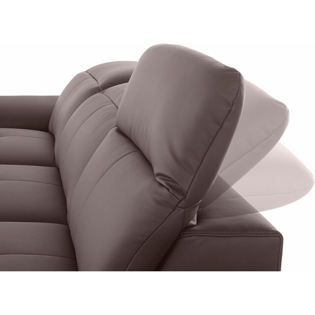 exxpo - sofa fashion Ecksofa, inkl. Kopf- bzw. Rückenverstellung, wahlweise  mit Bettfunktion bestellen | BAUR
