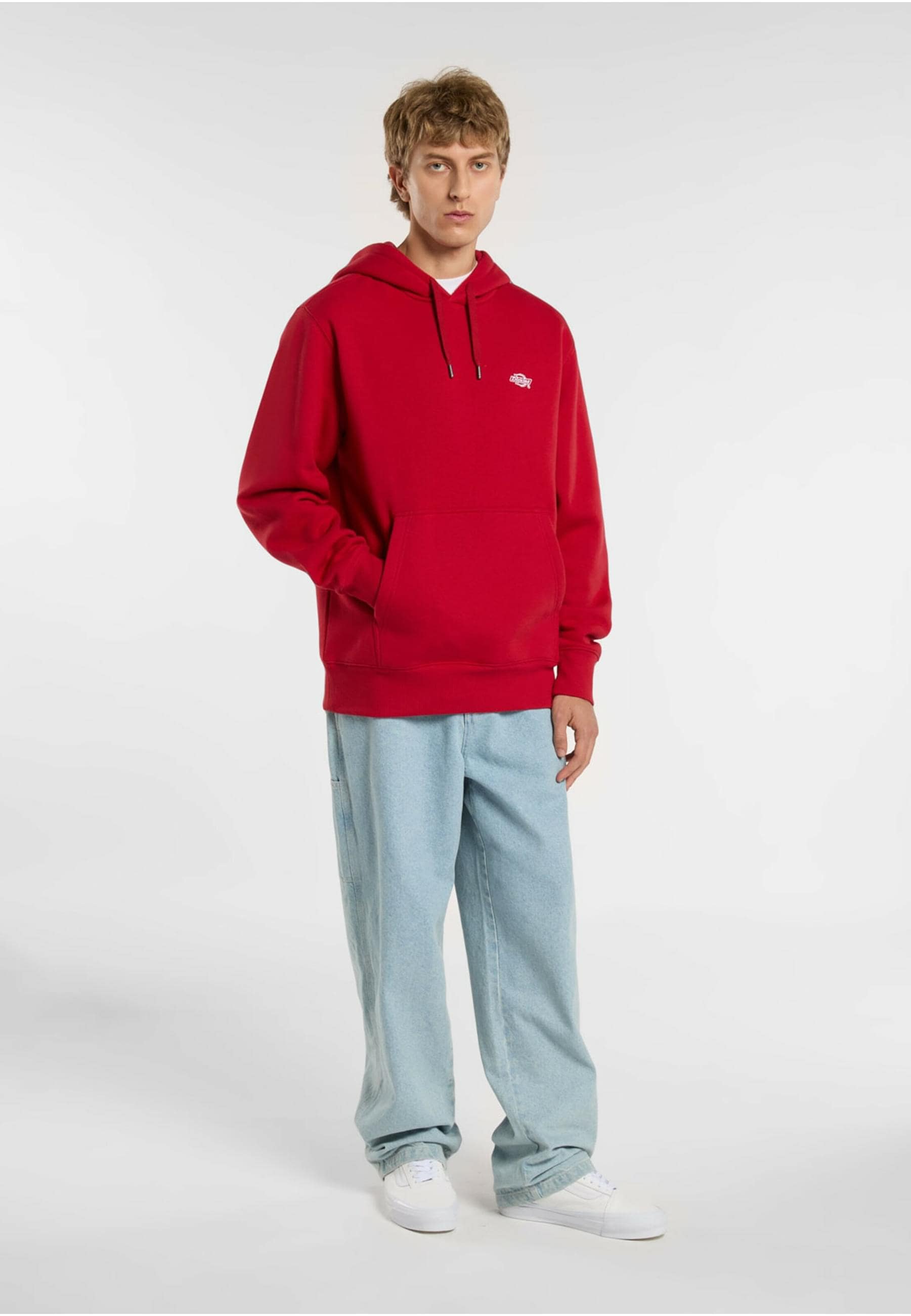 Dickies Kapuzensweatshirt »Dickies Workwear Dickies Summerdale Hoodie«, (1 tlg.)
