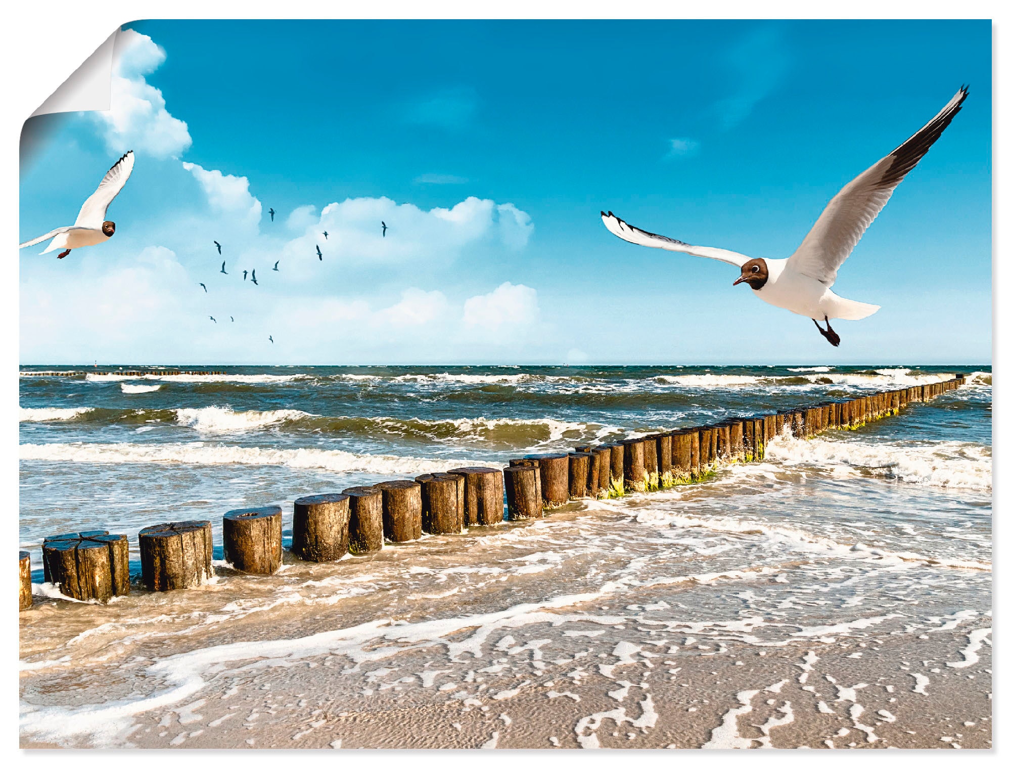Artland Wandbild "Ostsee" Gewässer 1 Stk. tlg. als Leinwandbild, Poster, Wa günstig online kaufen