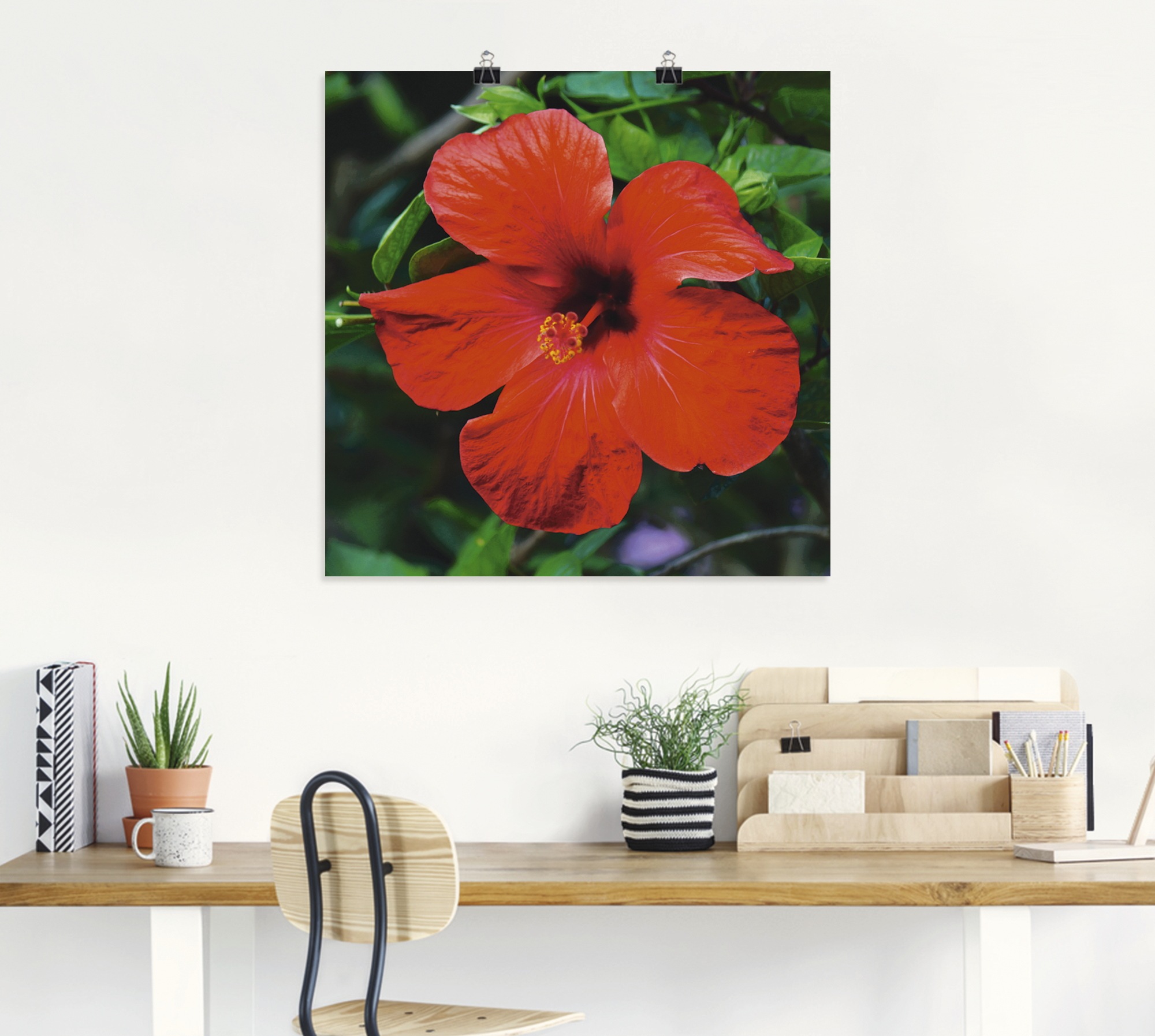 Artland Wandbild »Hawaiiblume«, Blumen, (1 St.), als Alubild, Leinwandbild, Wandaufkleber oder Poster in versch. Größen