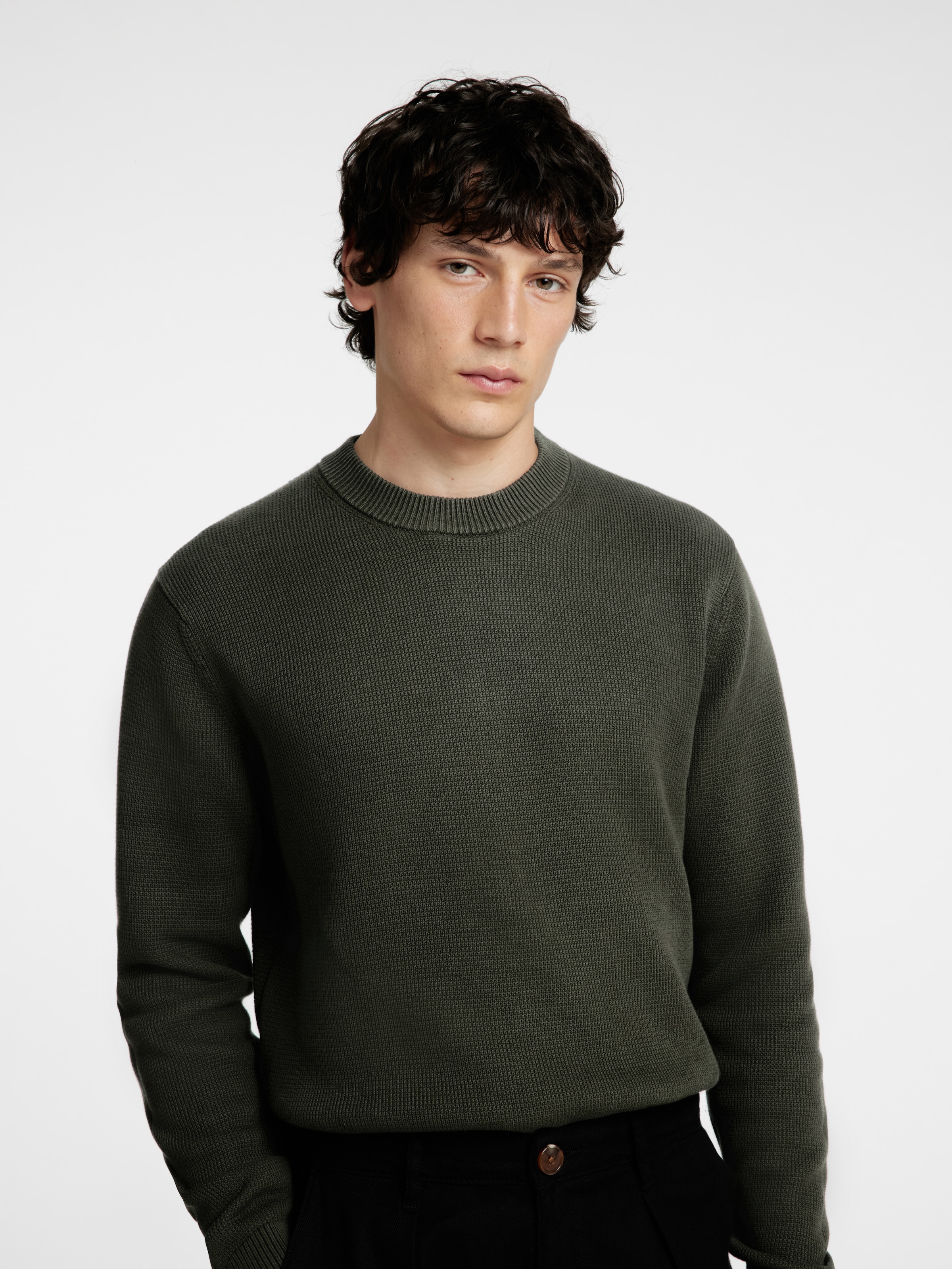 SELECTED HOMME Rundhalspullover »SLHDANE LS KNIT STRUCTURE CREW NECK NOOS«