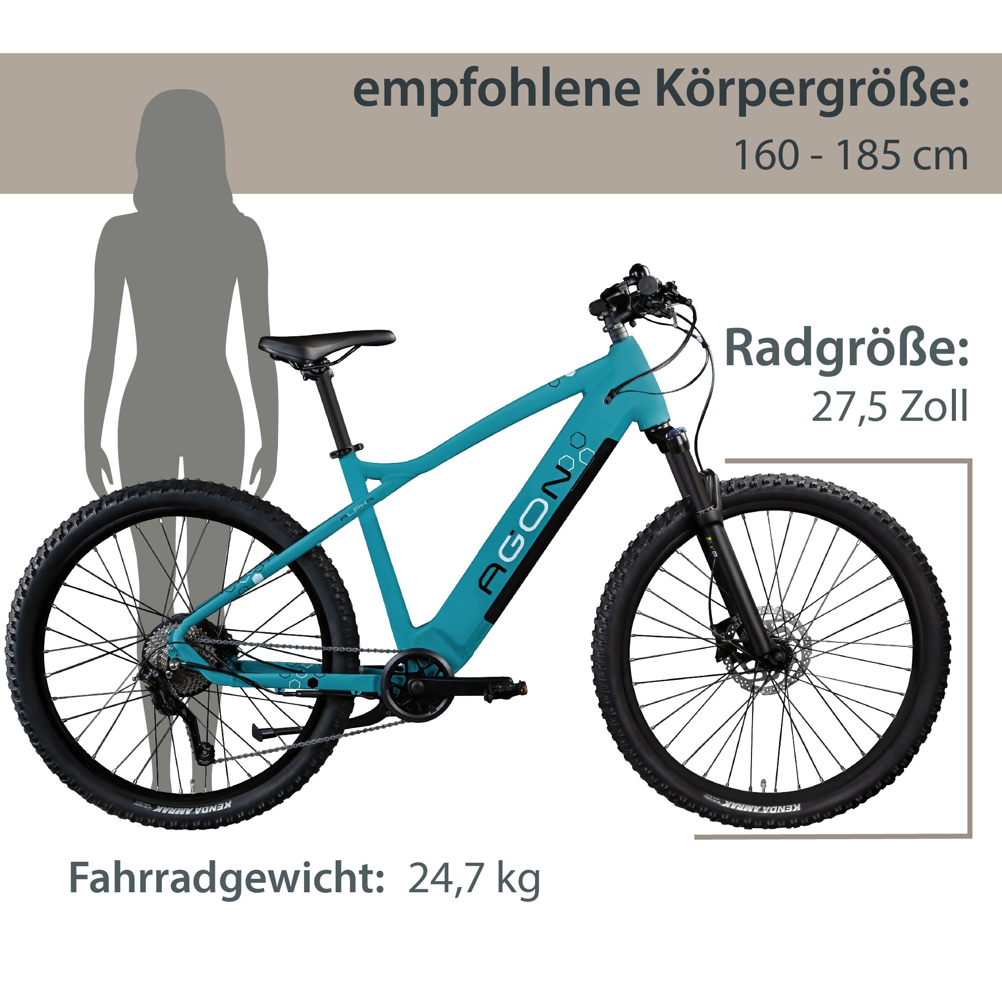 AGON E-Bike »Alpha«, 10 Gang, Shimano, Deore SGS T6000, Heckmotor 250 W, Pedelec, Elektrofahrrad für Damen u. Herren, MTB