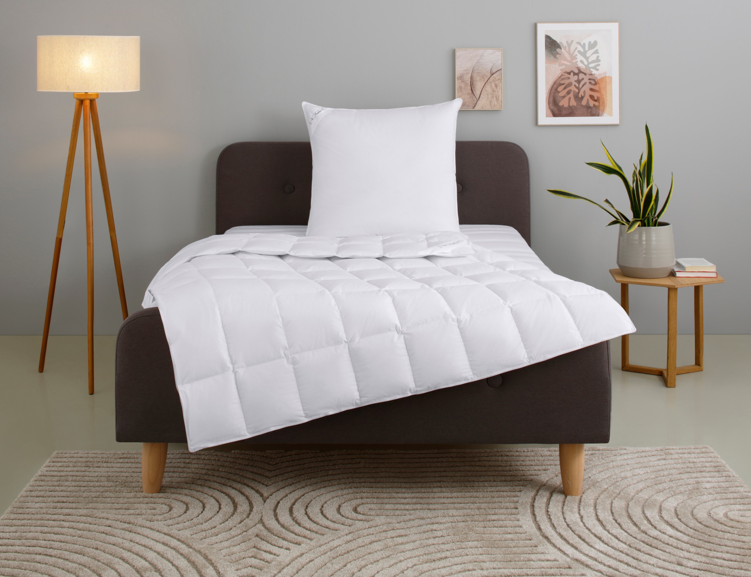 OTTO home Gänsedaunenbettdecke + Kopfkissen "Litrone Bettdecke 135x200 cm, 155 x220 cm" Set mit Kissen 40x80 cm, 80x80 cm, Frühling, Sommer, Herbst, Winter