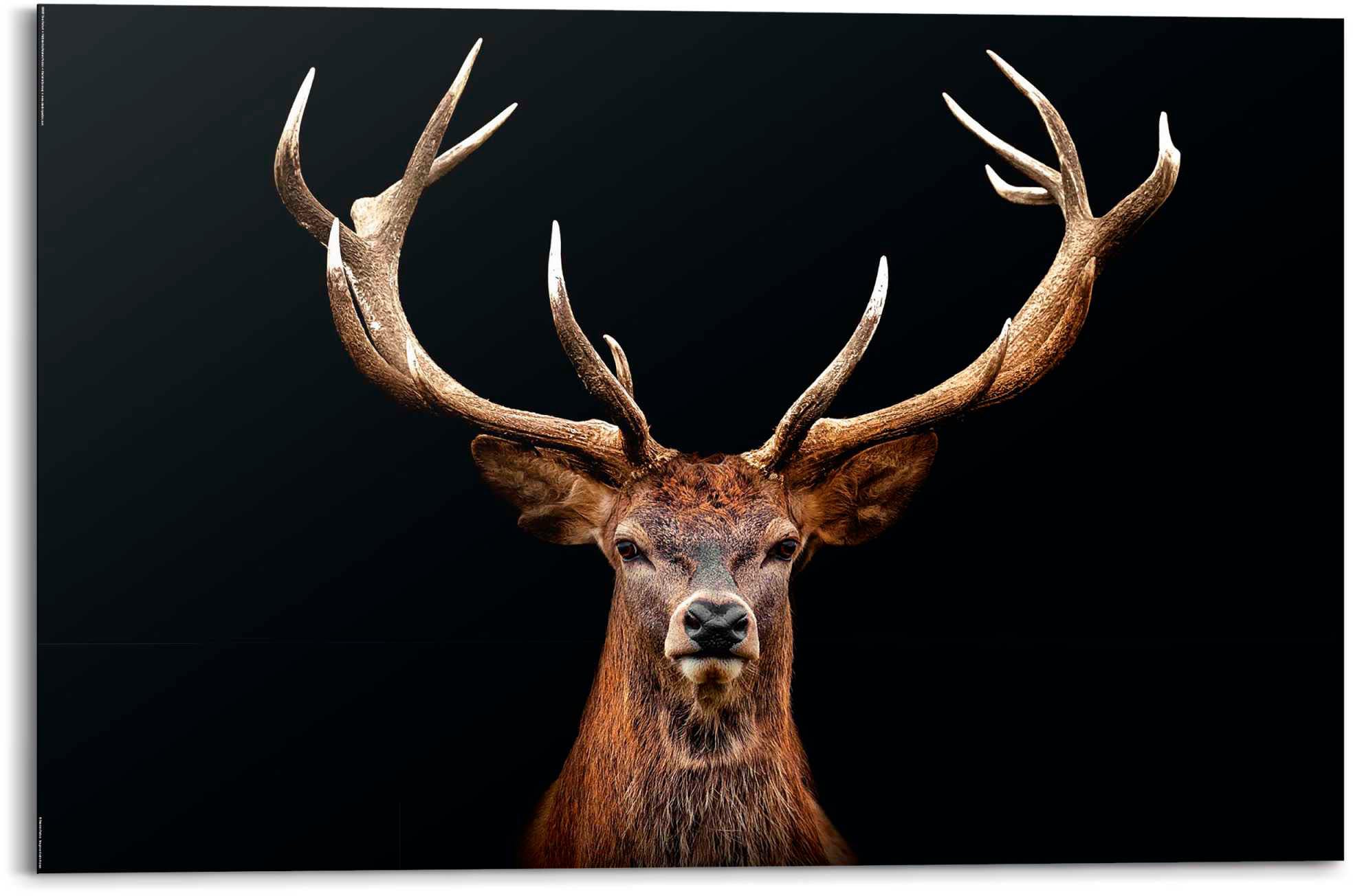 Reinders! BAUR | bestellen Deco-Panel »Hirsch«