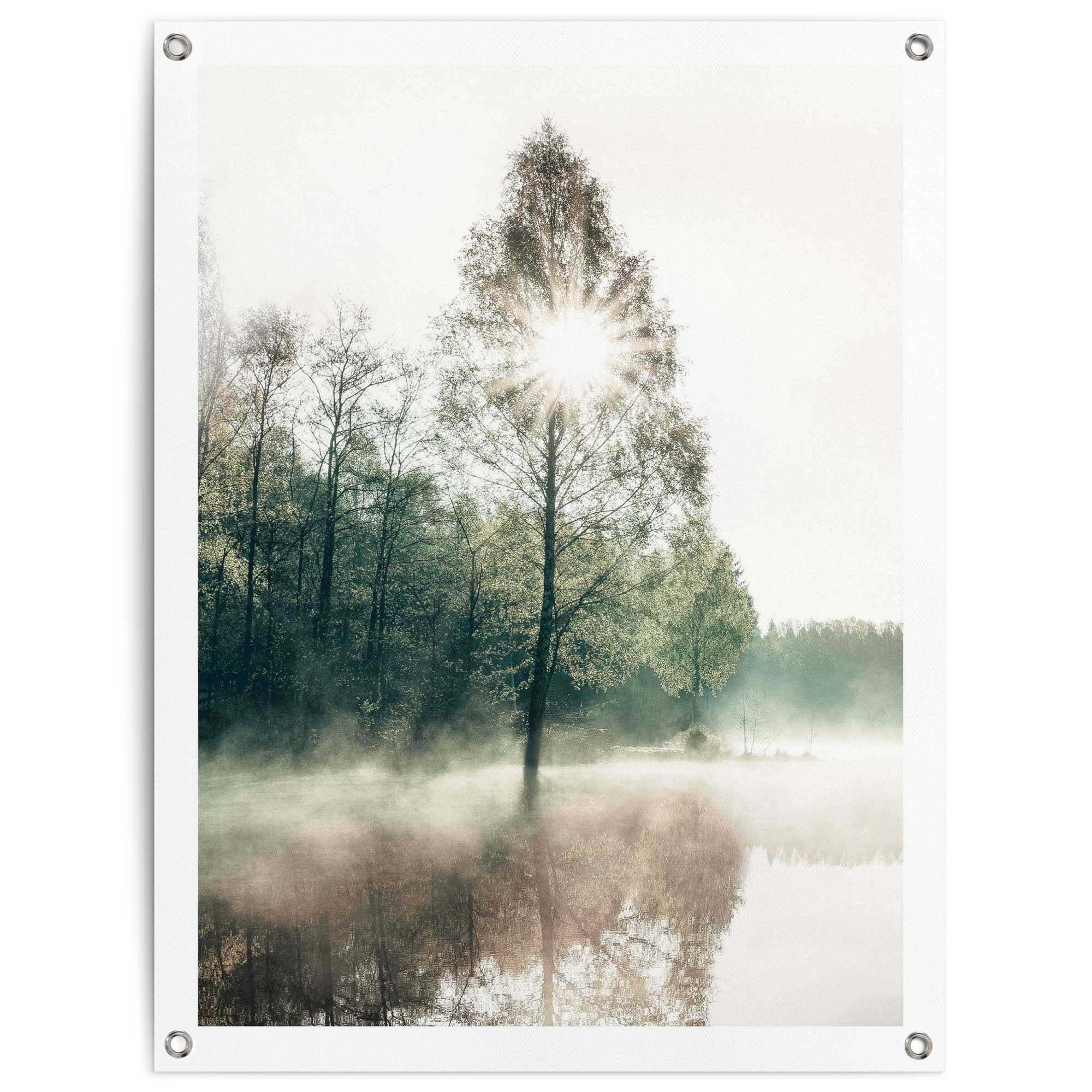 Reinders Poster "Sonne durch die Bäume", Outdoor für Garten oder Balkon günstig online kaufen