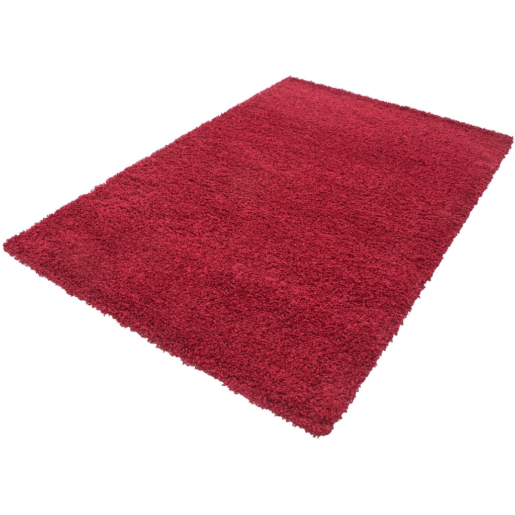 Ayyildiz Teppiche Hochflor-Teppich »Life Shaggy 1500«, rechteckig