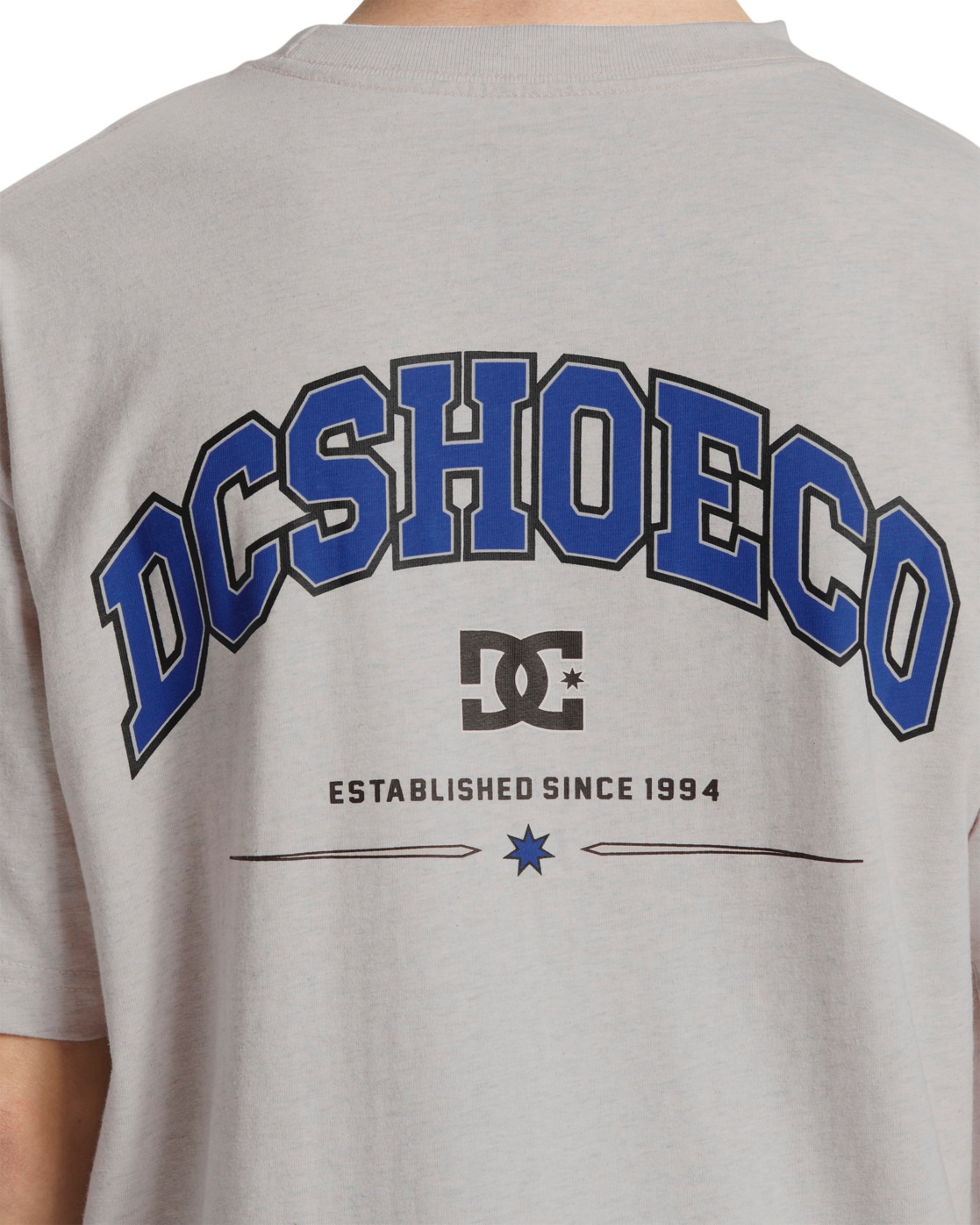 DC Shoes T-Shirt »Orientation«