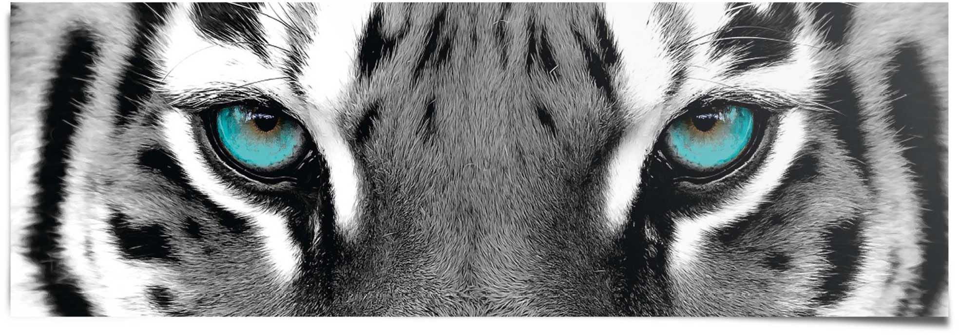 »Sibirischer bestellen | BAUR Reinders! Tiger« Poster
