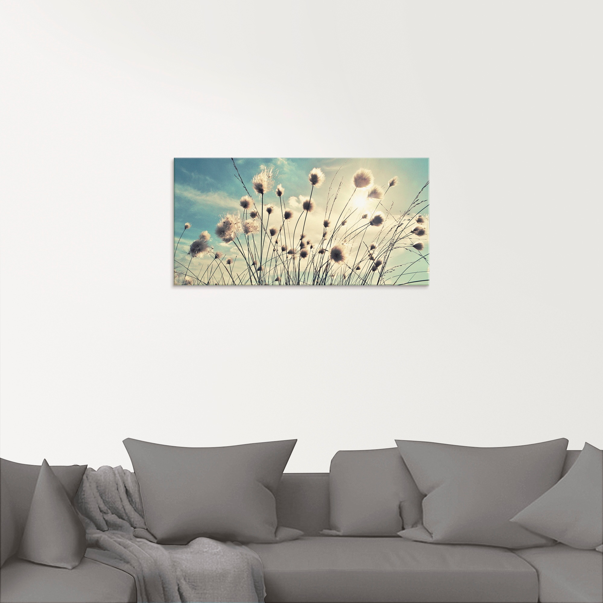 Artland Glasbild "Wollgras" Gräser 1 Stk. tlg. in verschiedenen Größen günstig online kaufen