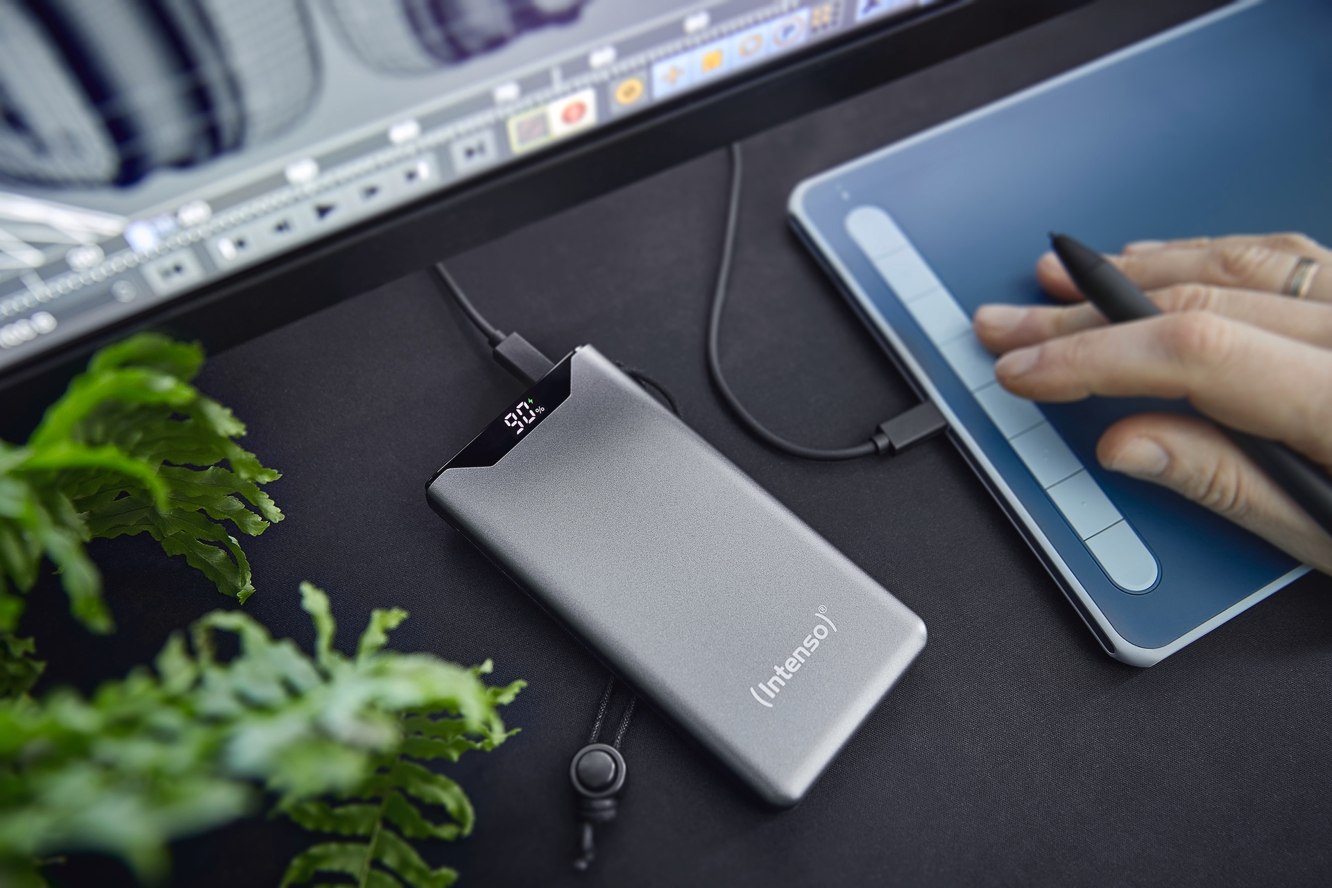 Intenso Powerbank »F10000, 20 W«
