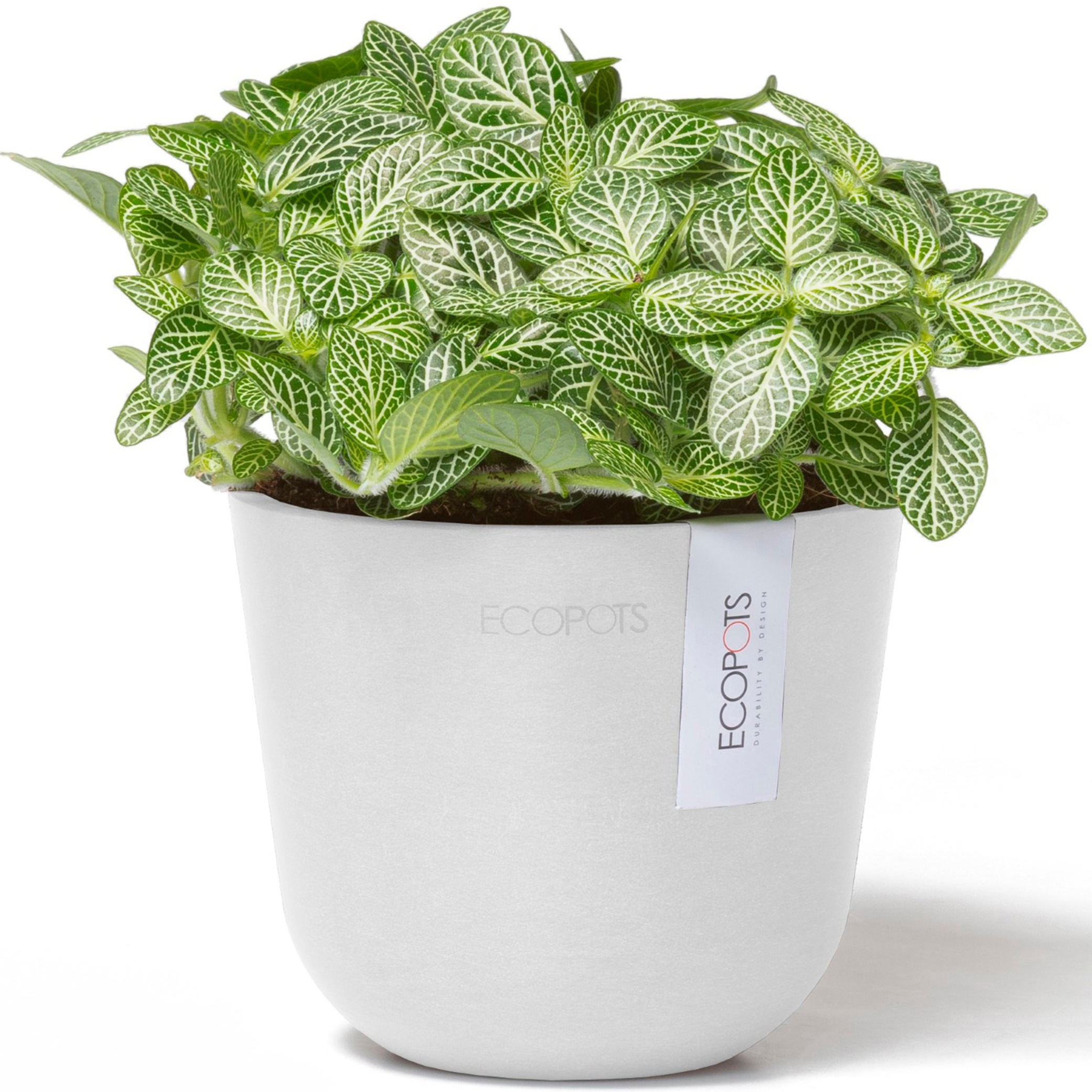 ECOPOTS Blumentopf »Oslo Mini 11,5 Weiß«, für den Innenbereich