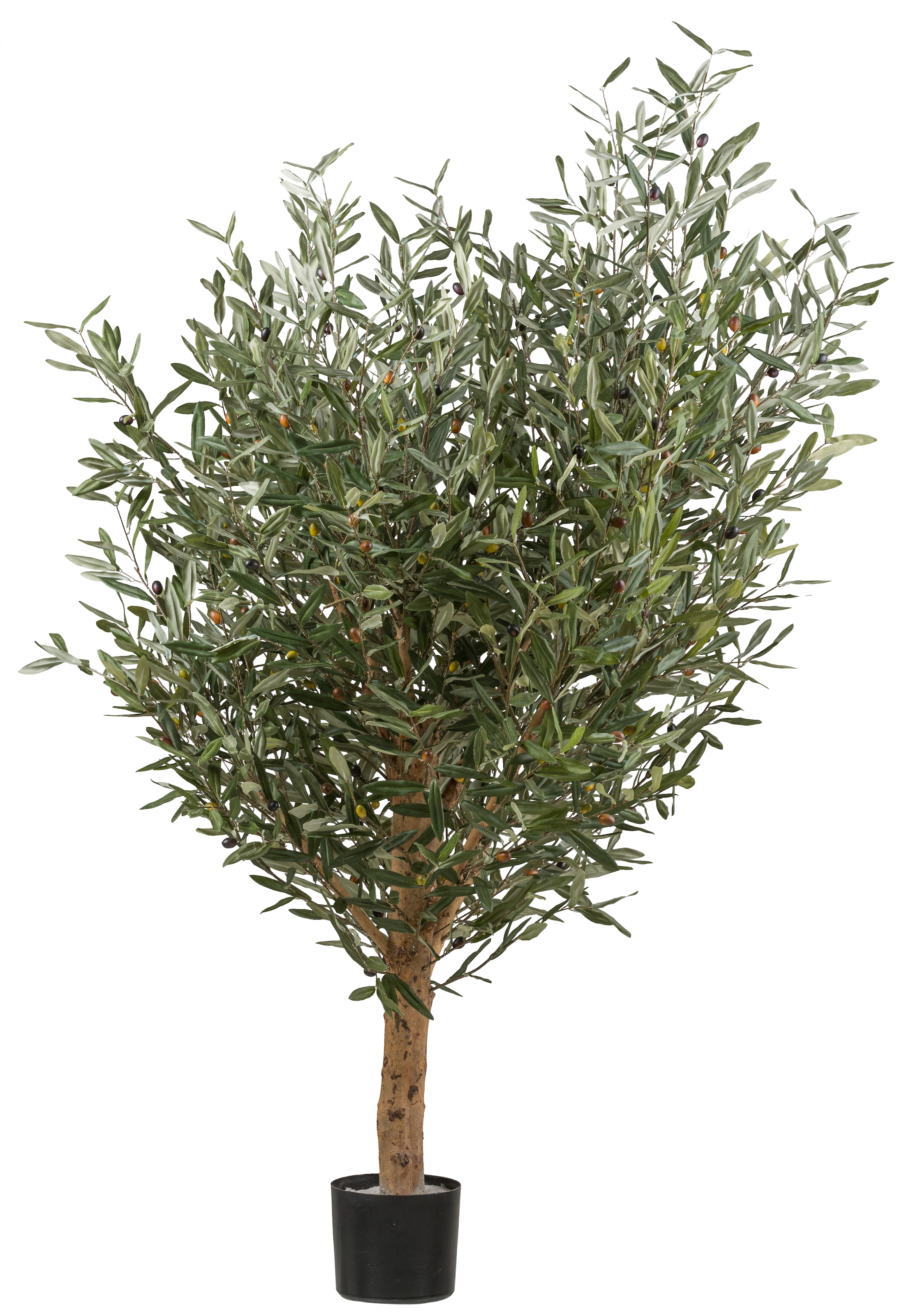 Creativ green Kunstbaum "Olive", mit echtem Holzstamm günstig online kaufen