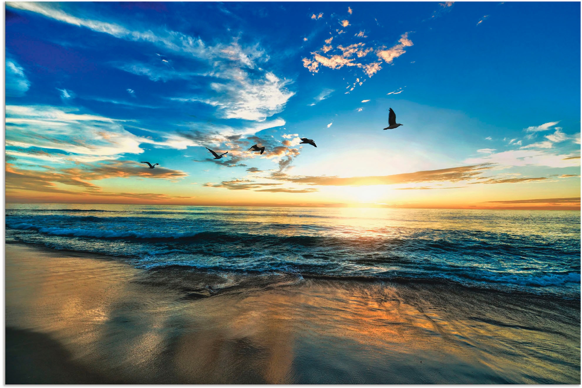 Artland Wandbild Leinwandbild, St.), versch. Sonnenaufgang Größen bestellen Alubild, Möwen »Strand Wandaufkleber Sonnenuntergang«, | BAUR Meer in als (1 & Poster -untergang, oder