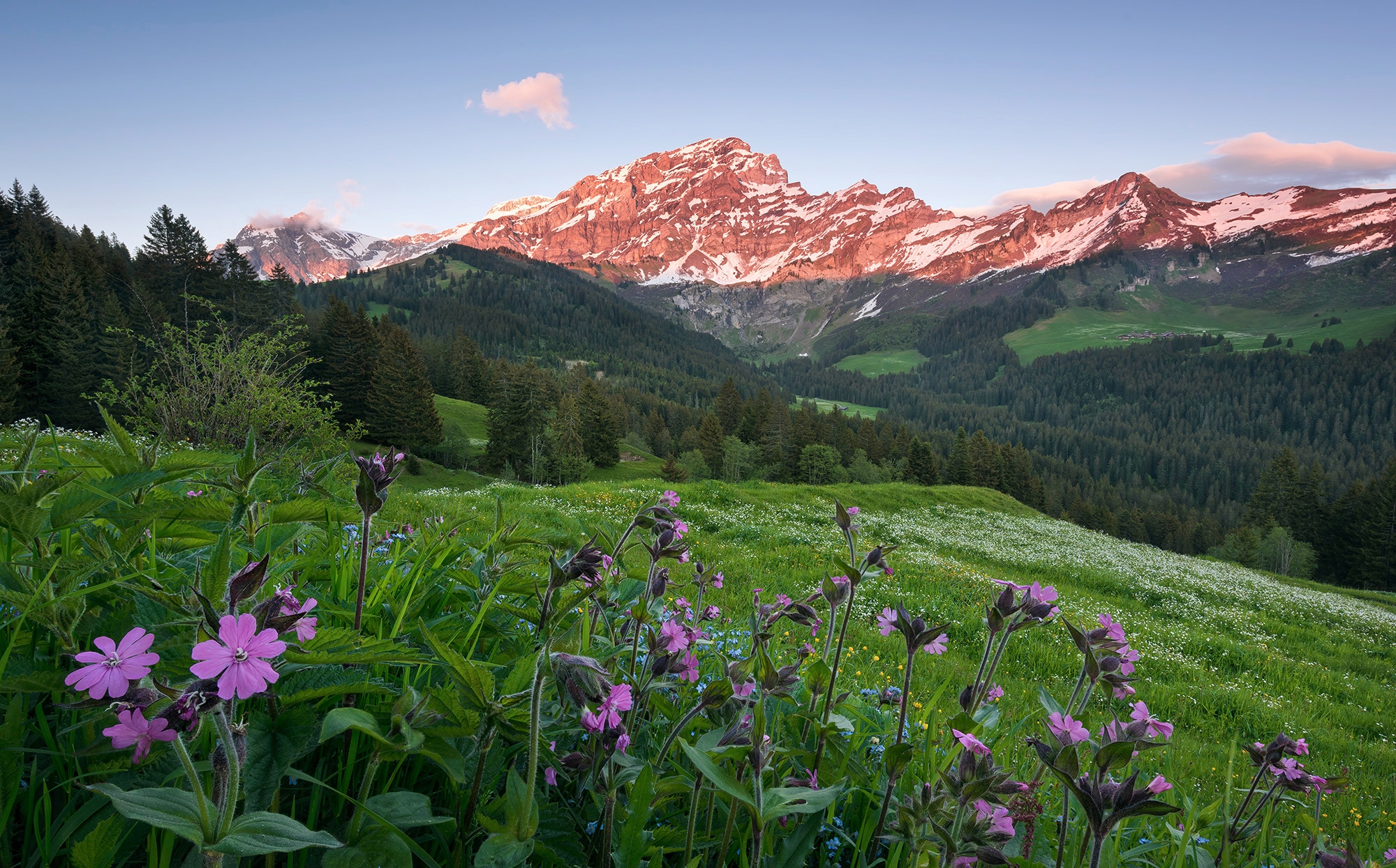 Komar Vliestapete "Picturesque Switzerland", 450x280 cm (Breite x Höhe), Wohnzimmer, Schlafzimmer