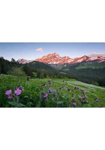 Komar Vliestapete »Picturesque Switzerland« ...